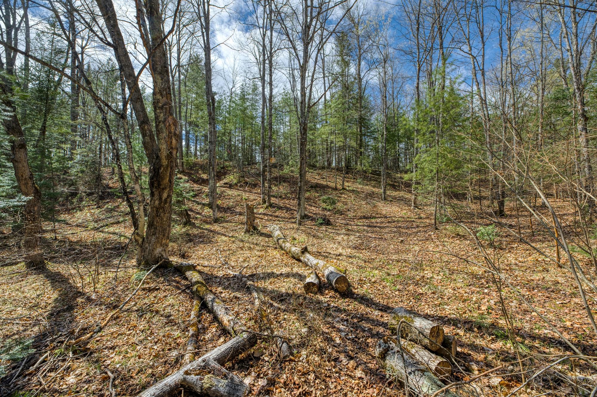 Indian Lake (L) Property 5718 Ottawa Ln Photo 55