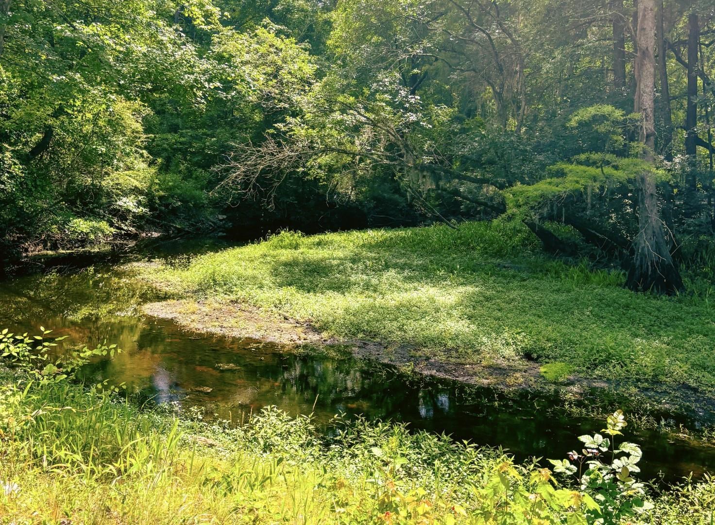2612509 | Photo 28