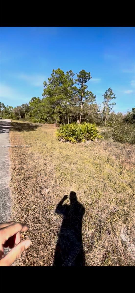 Lehigh Acres Unit 4