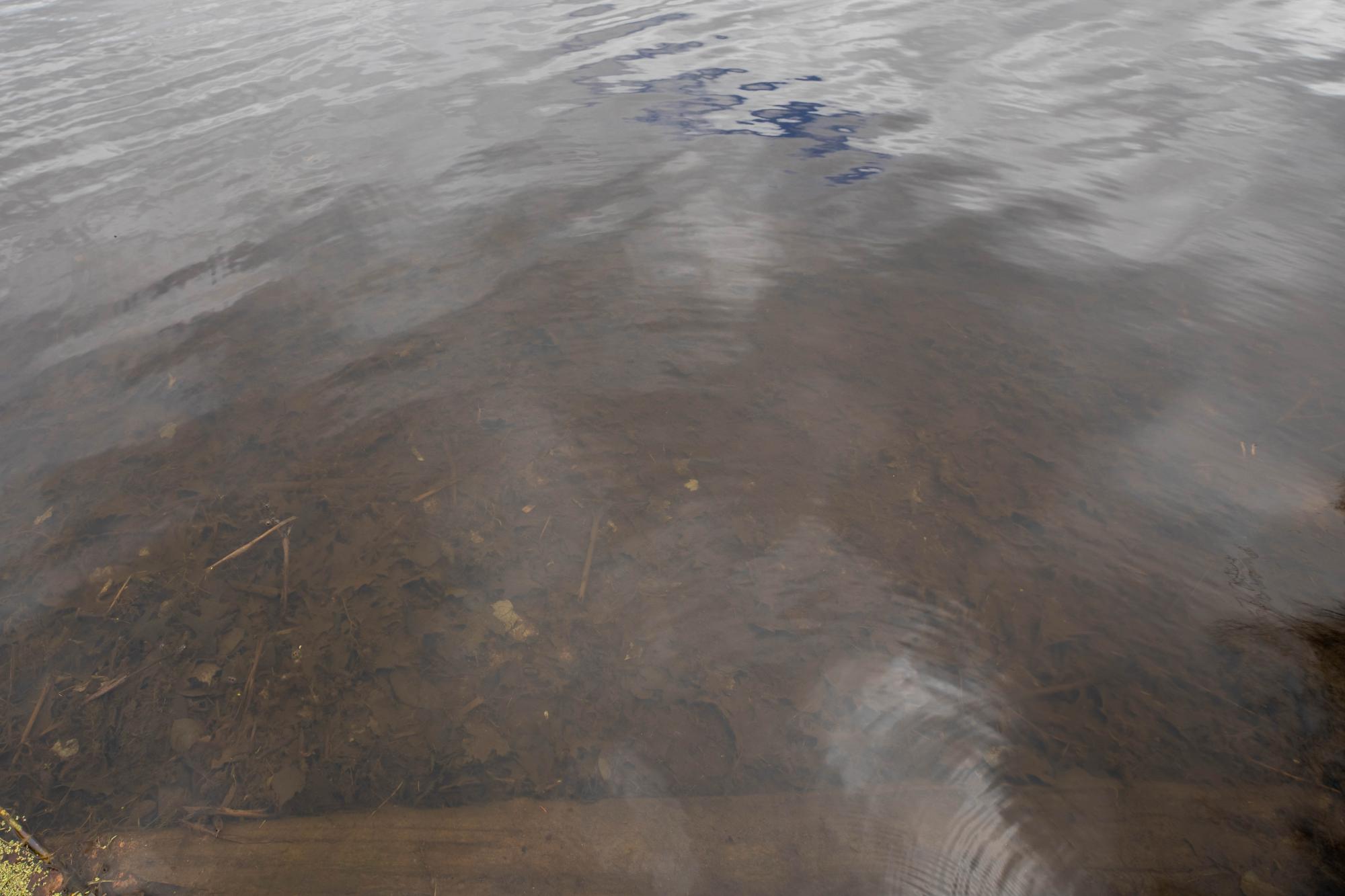 Oneida Lake Property 3541 Campfire Ln Photo 71