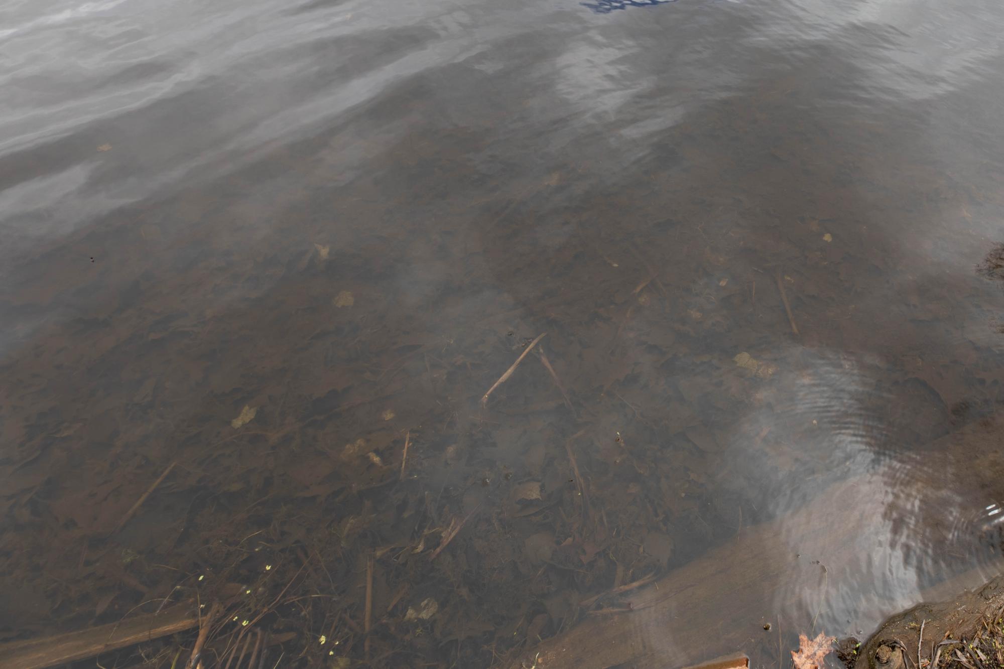 Oneida Lake Property 3541 Campfire Ln Photo 72