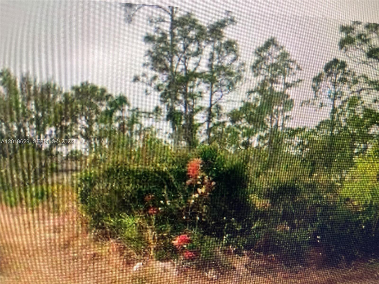 Tropical Gulf Acres