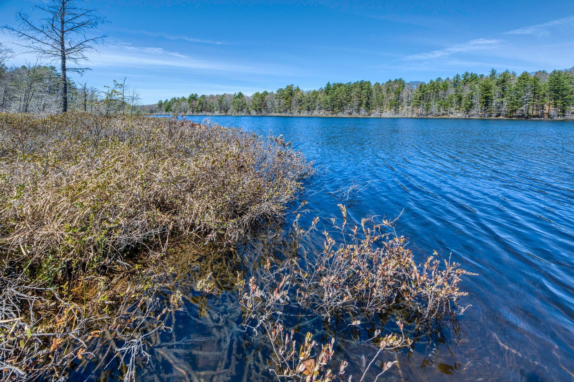 Camp Twelve Lake Property 2814 Pickerel Lake Rd Photo 30