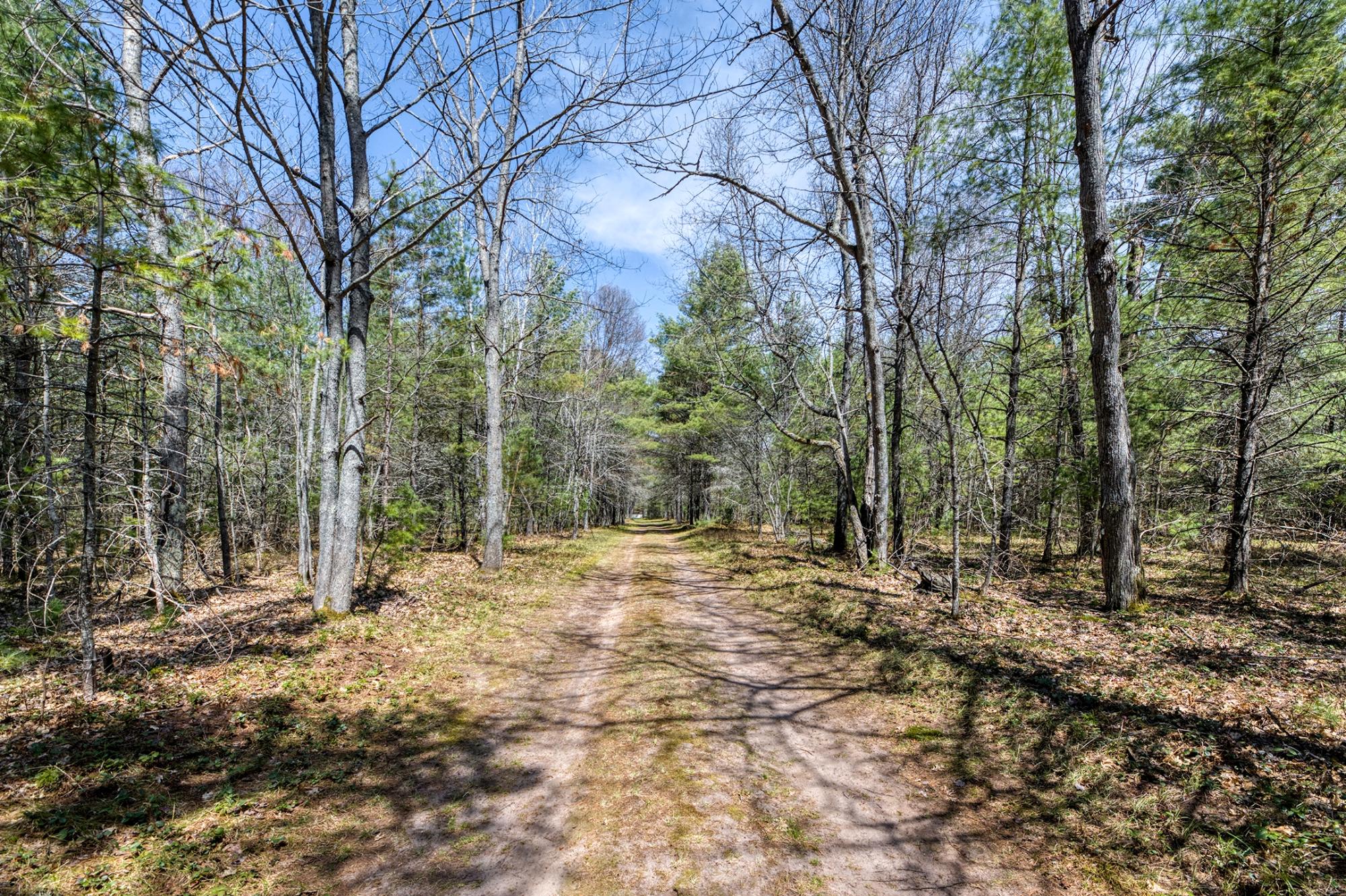 Camp Twelve Lake Property 2814 Pickerel Lake Rd Photo 34
