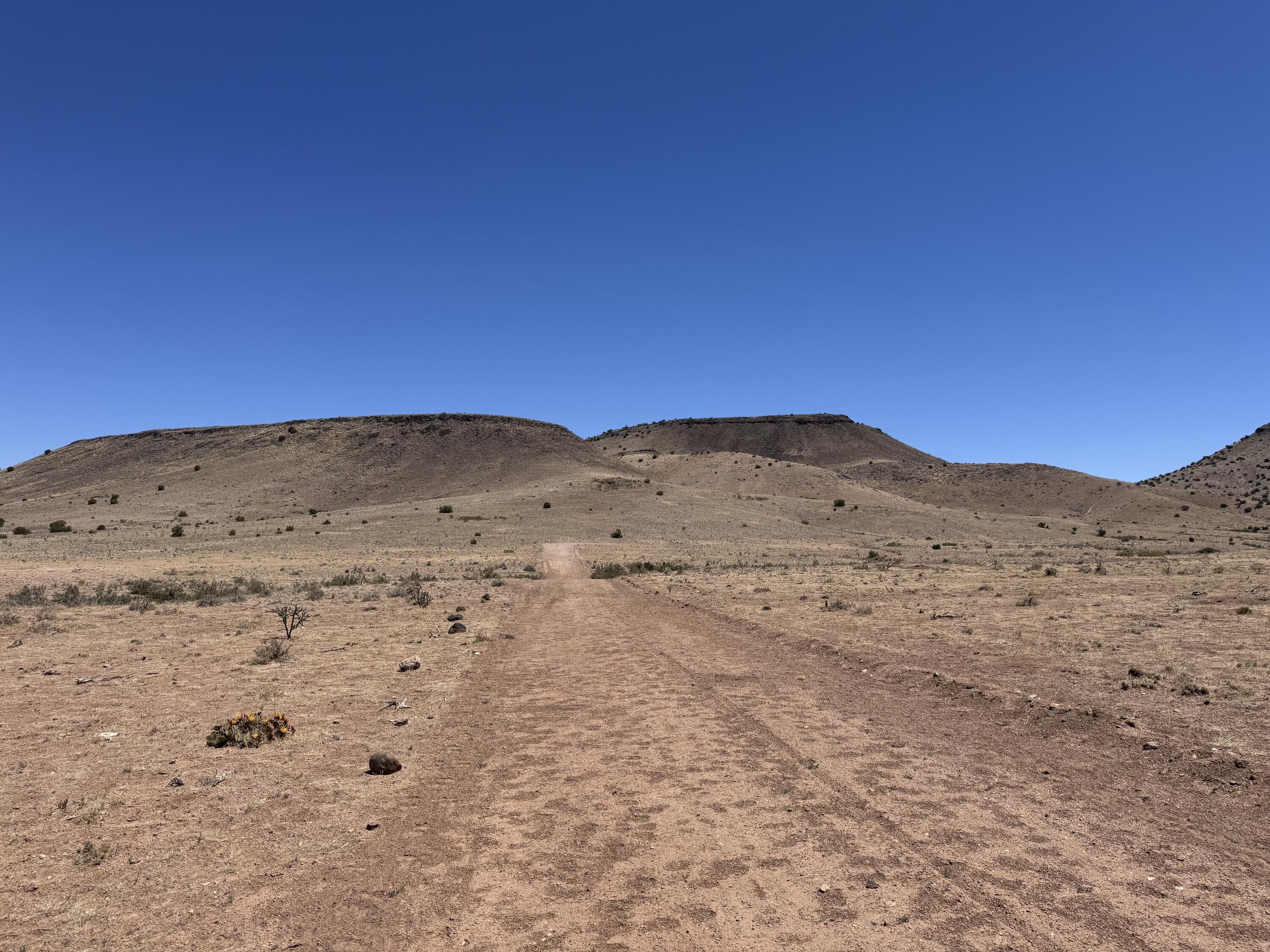 663 Willow Springs Ranch Road, San Antonio, NM