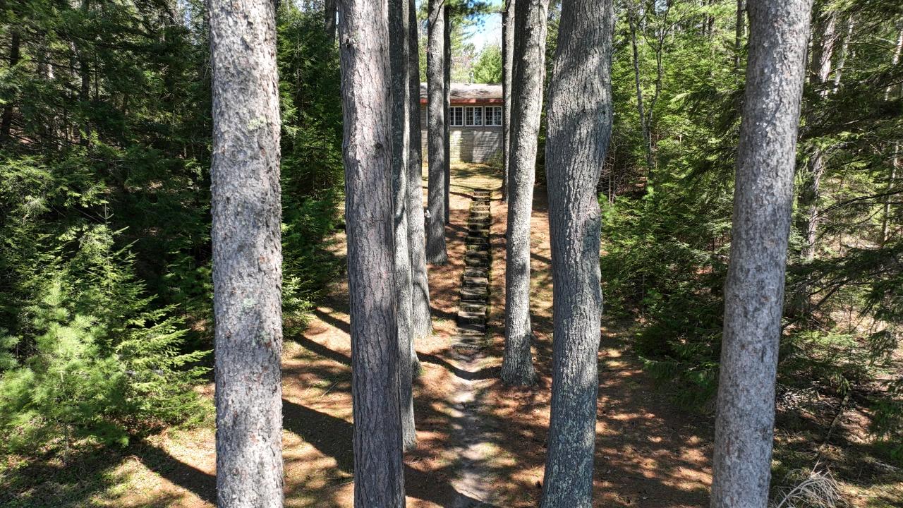 Shishebogama Lake Property 12755 Duner Point Ln Photo 32