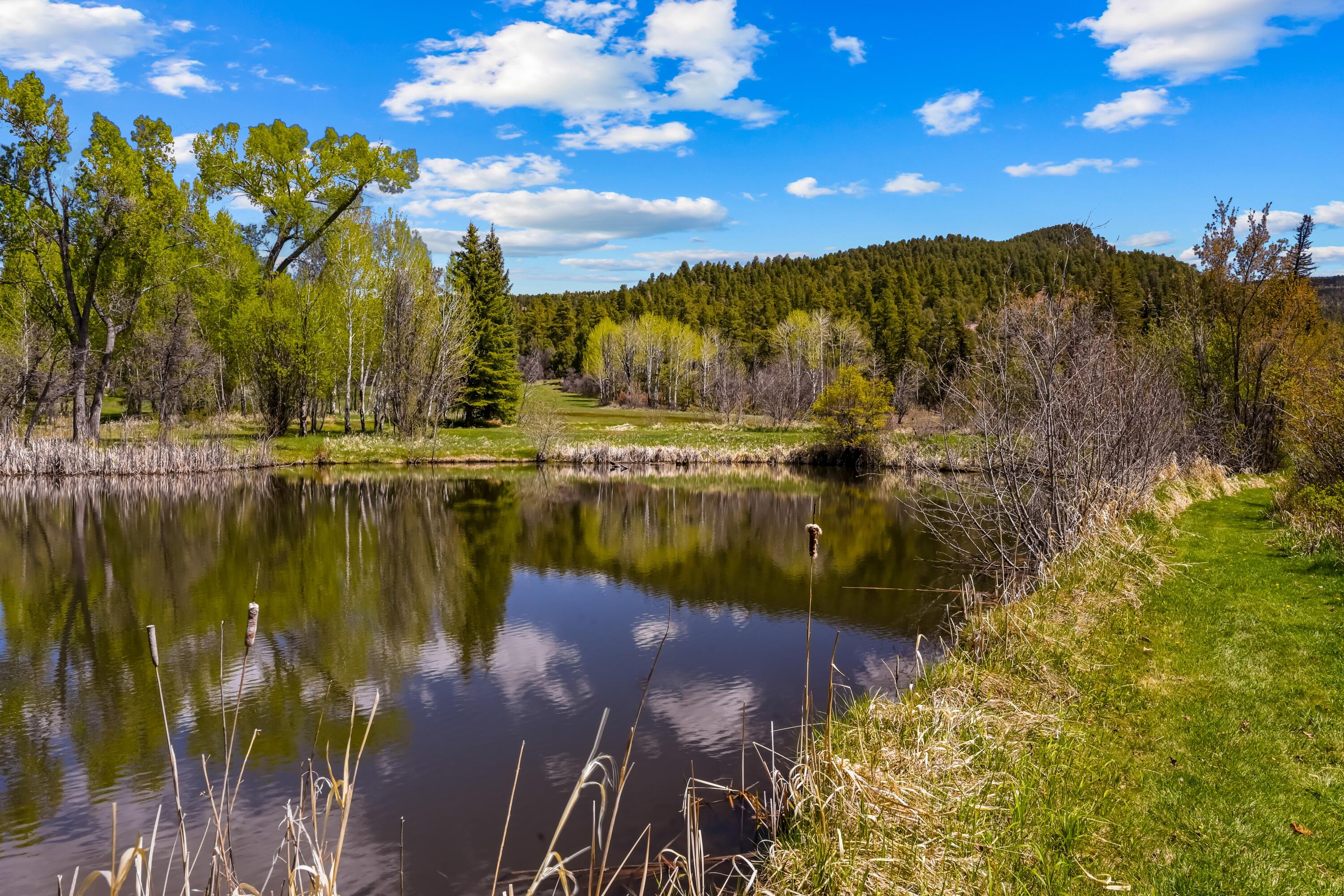 Photo 47 of Land for sale at 220 County Rd 342, Chama, NM 87520 | MLS# 1103705 | Listing updated on 2026-10-19