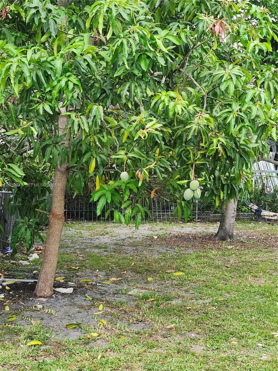 Property photo # 4