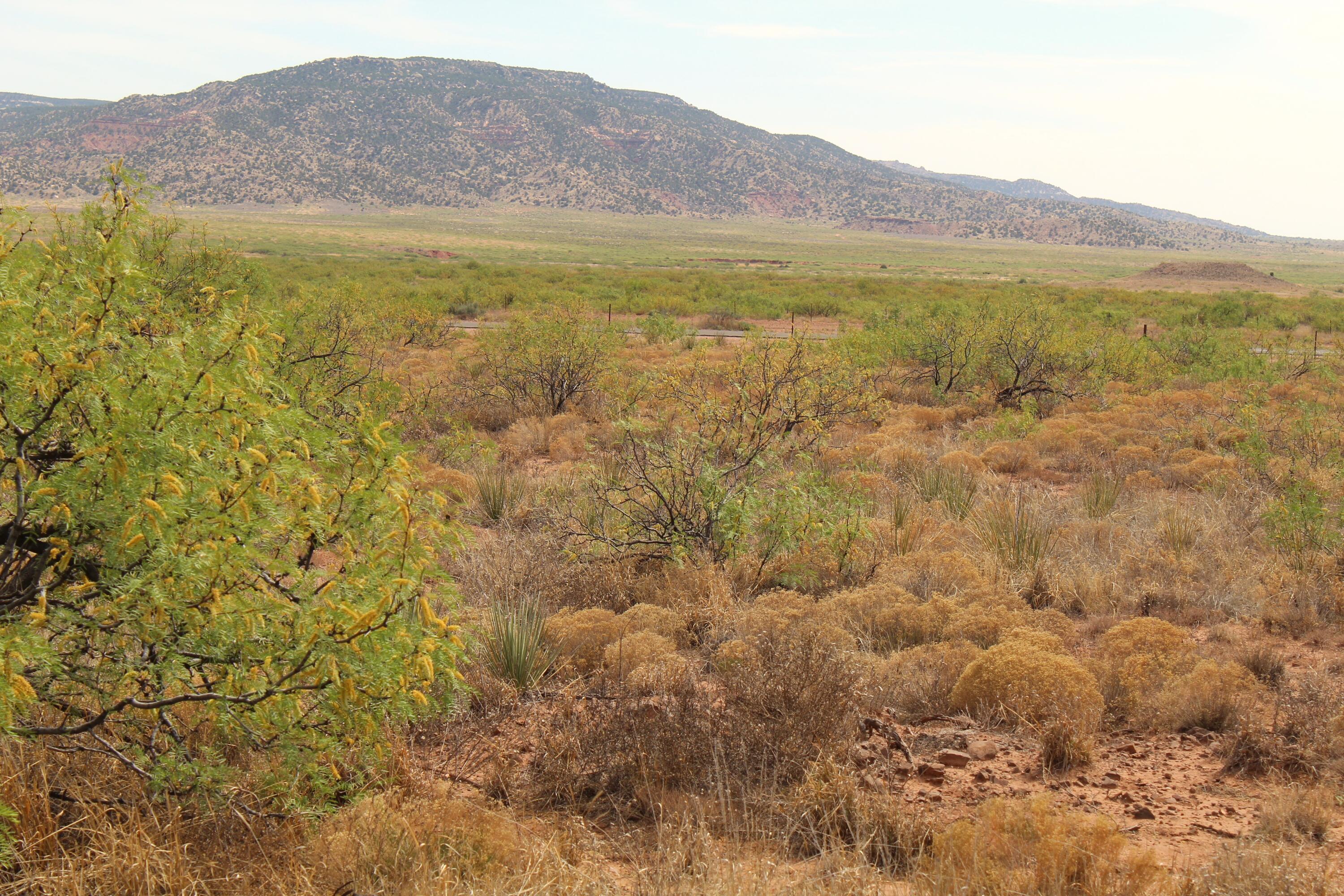 3rd image of Lots 17-26 Nickel Ln, Conchas Dam, NM 88416 | MLS# 1103731