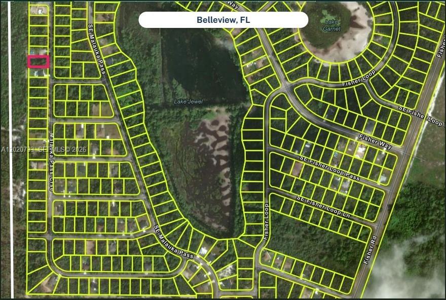 Silver Springs Shores Unit