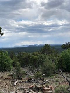 6th image of Cienfuegos Trl, Ramah, NM 87321 | MLS# 1103790