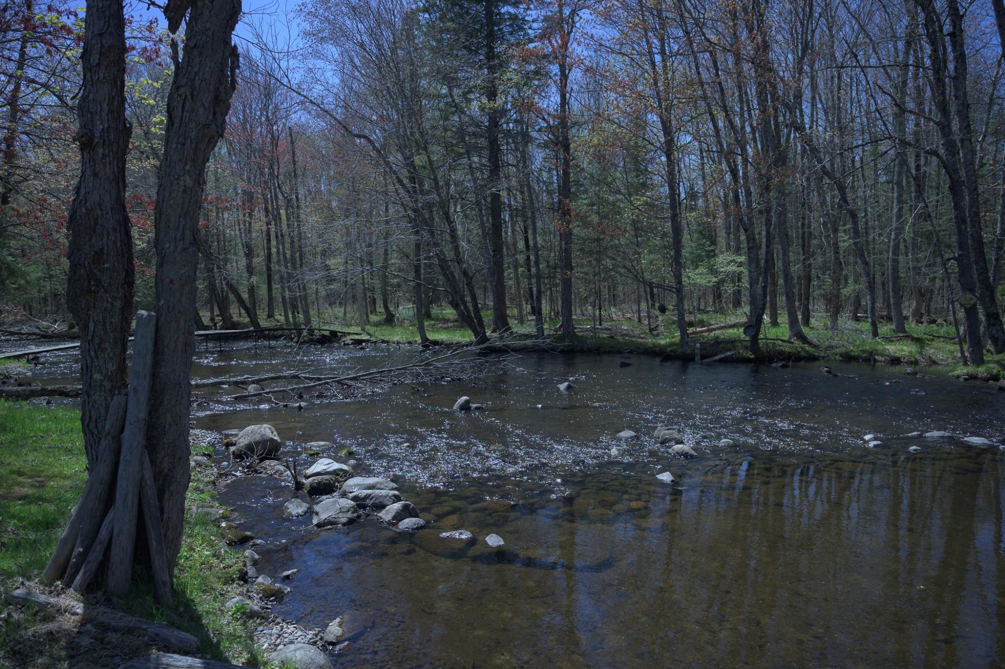 River Property Property 743 Woodlawn Rd Photo 15