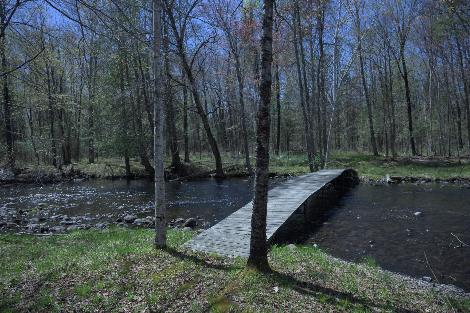 River Property Property 743 Woodlawn Rd Photo 4