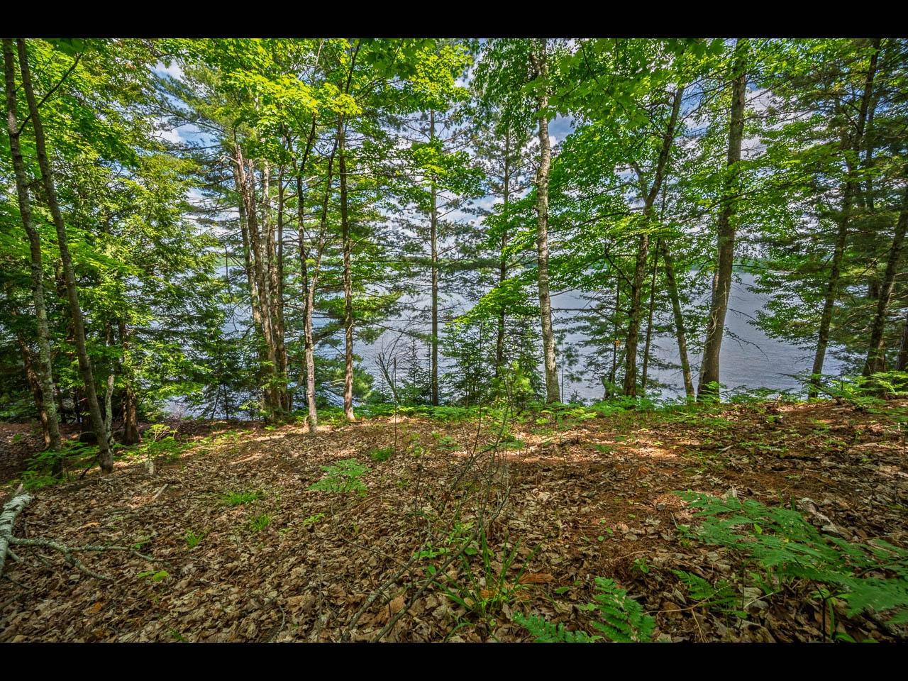 Clearwater Lake Property Lot 136 Clearwater Lake Tr Photo 4