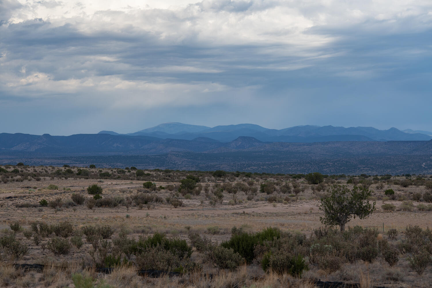 Photo 17 — 4850 Sandia Peak Road NE