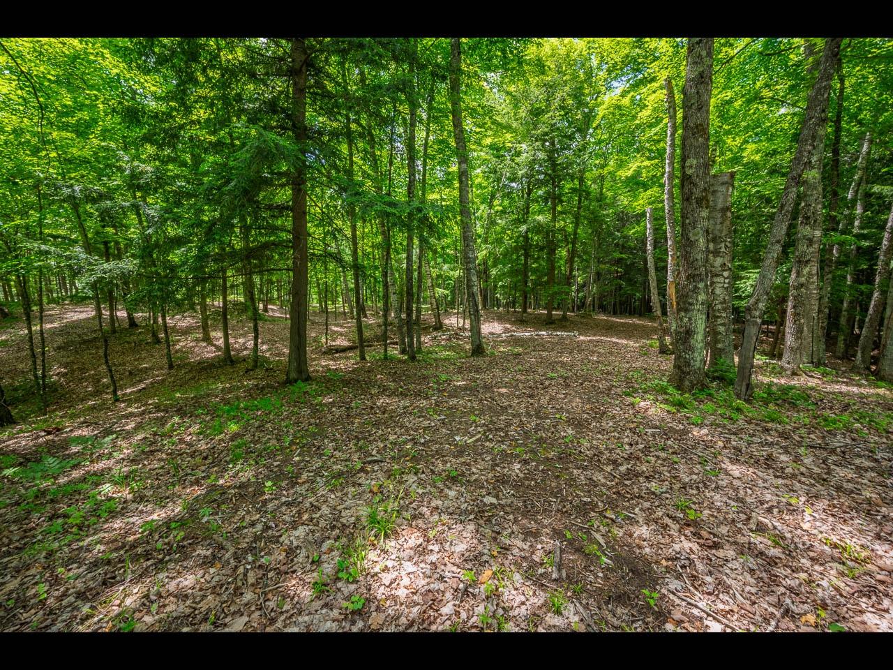 Clearwater Lake Property Lot 137 Clearwater Lake Tr Photo 10