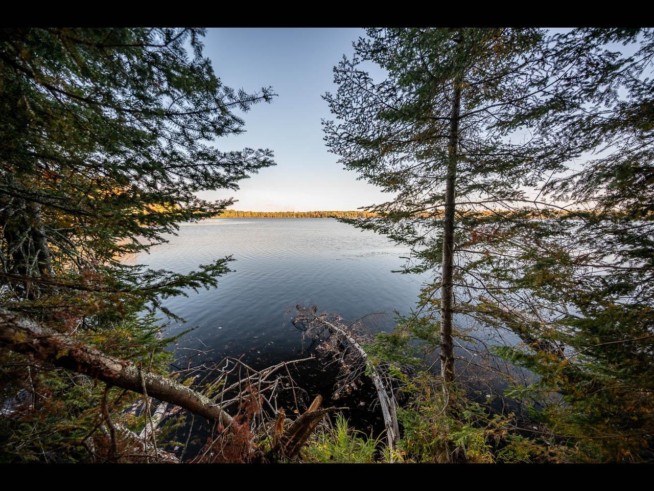 Clearwater Lake Property Lot 137 Clearwater Lake Tr Photo 5
