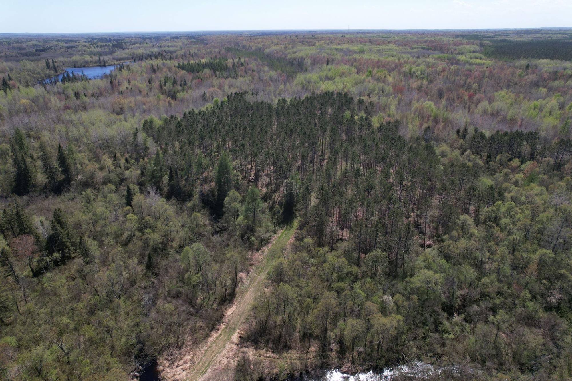River Property Property Off Hay Creek Rd Photo 11