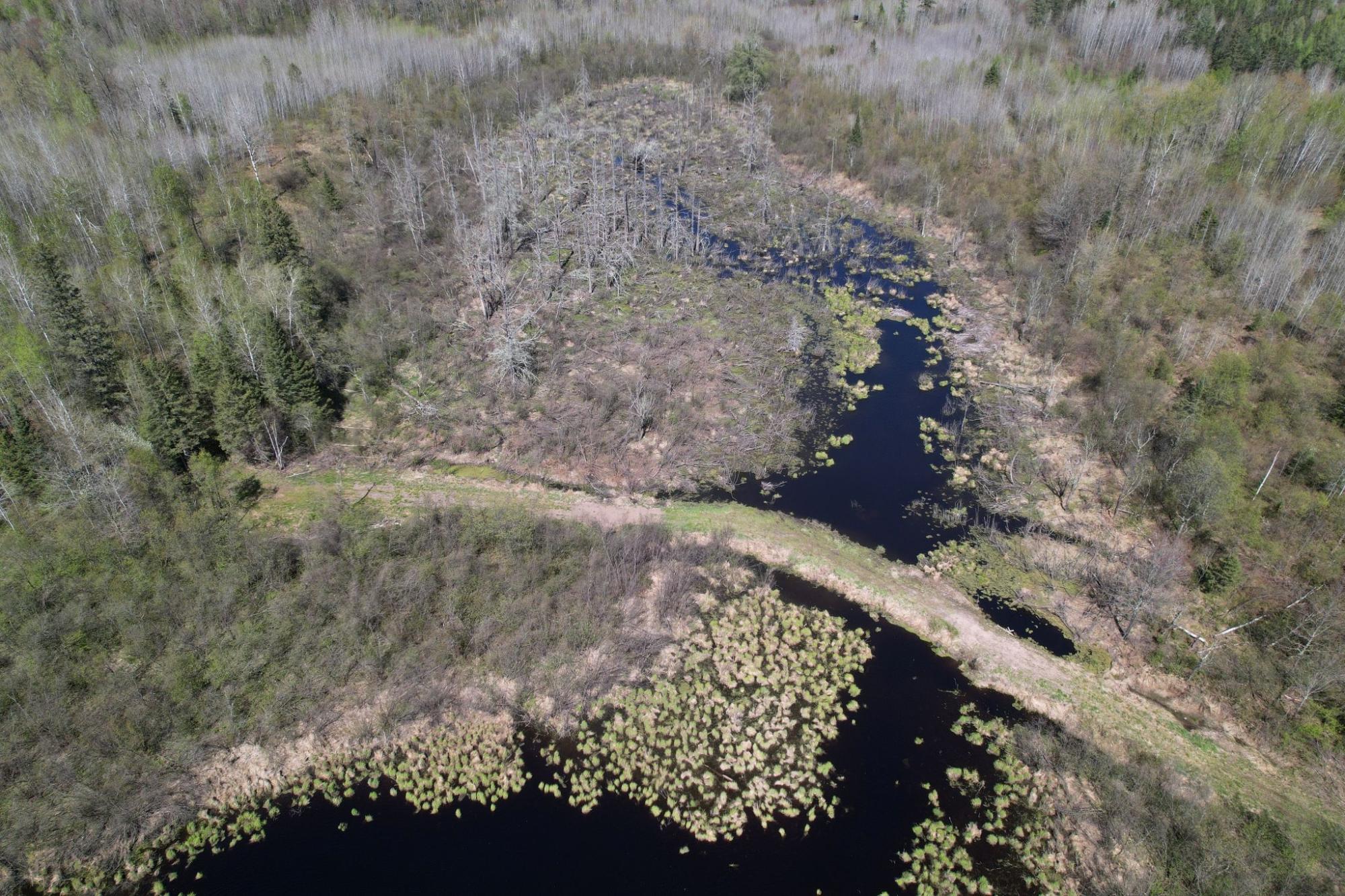 River Property Property Off Hay Creek Rd Photo 13