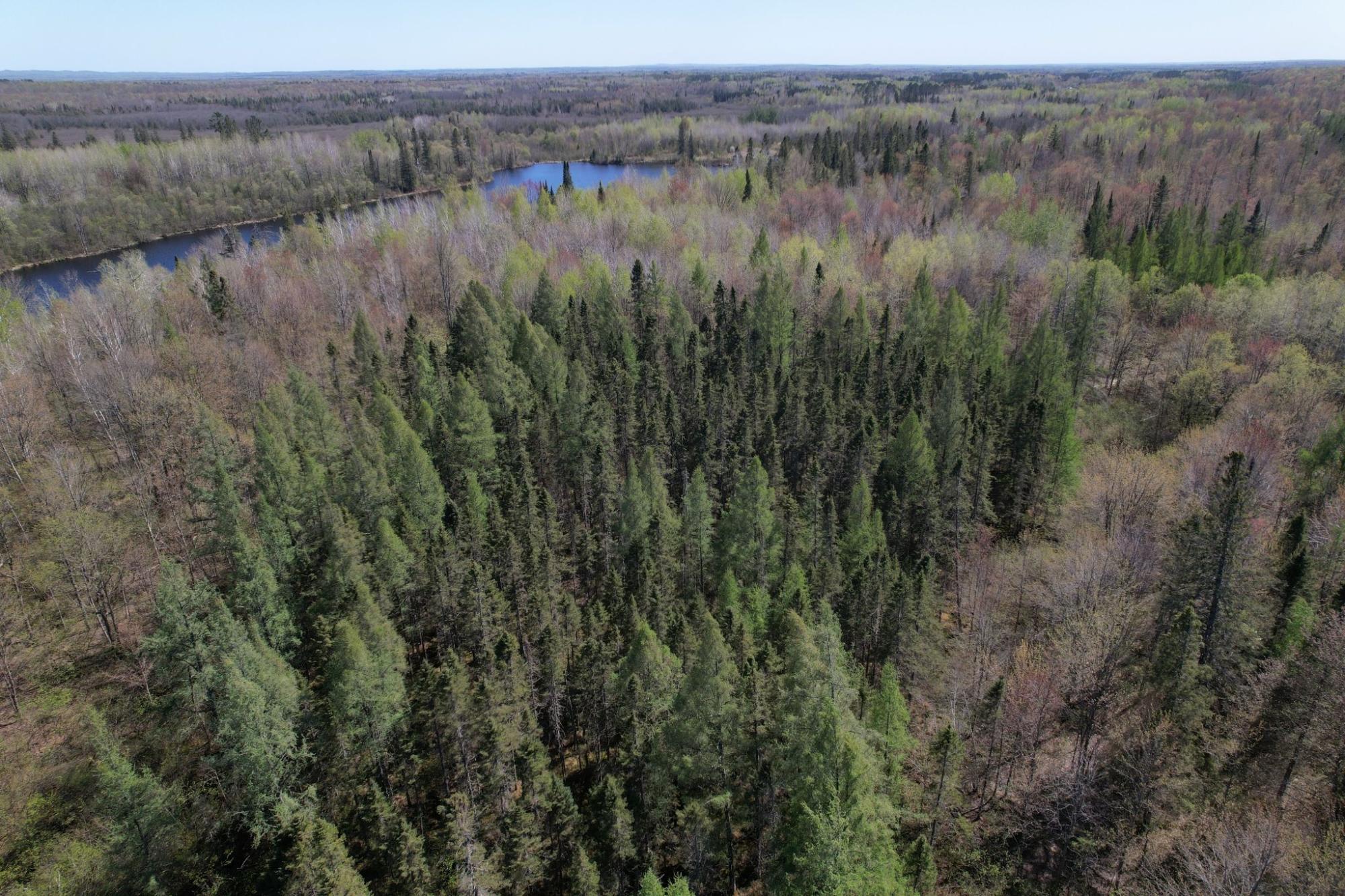 River Property Property Off Hay Creek Rd Photo 21