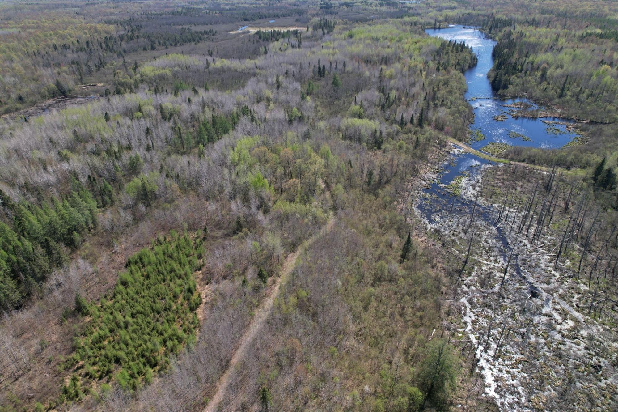 River Property Property Off Hay Creek Rd Photo 22
