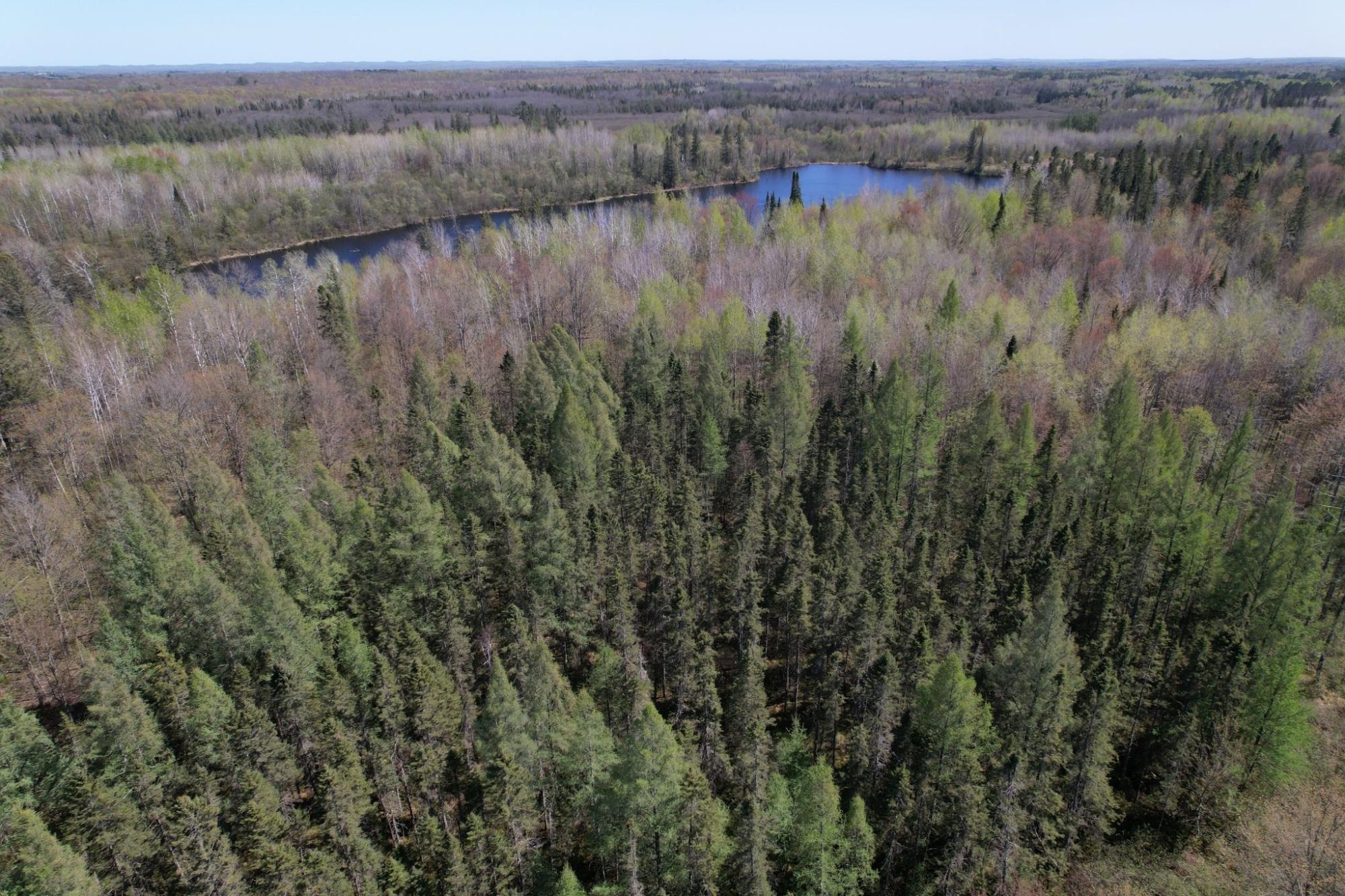 River Property Property Off Hay Creek Rd Photo 36