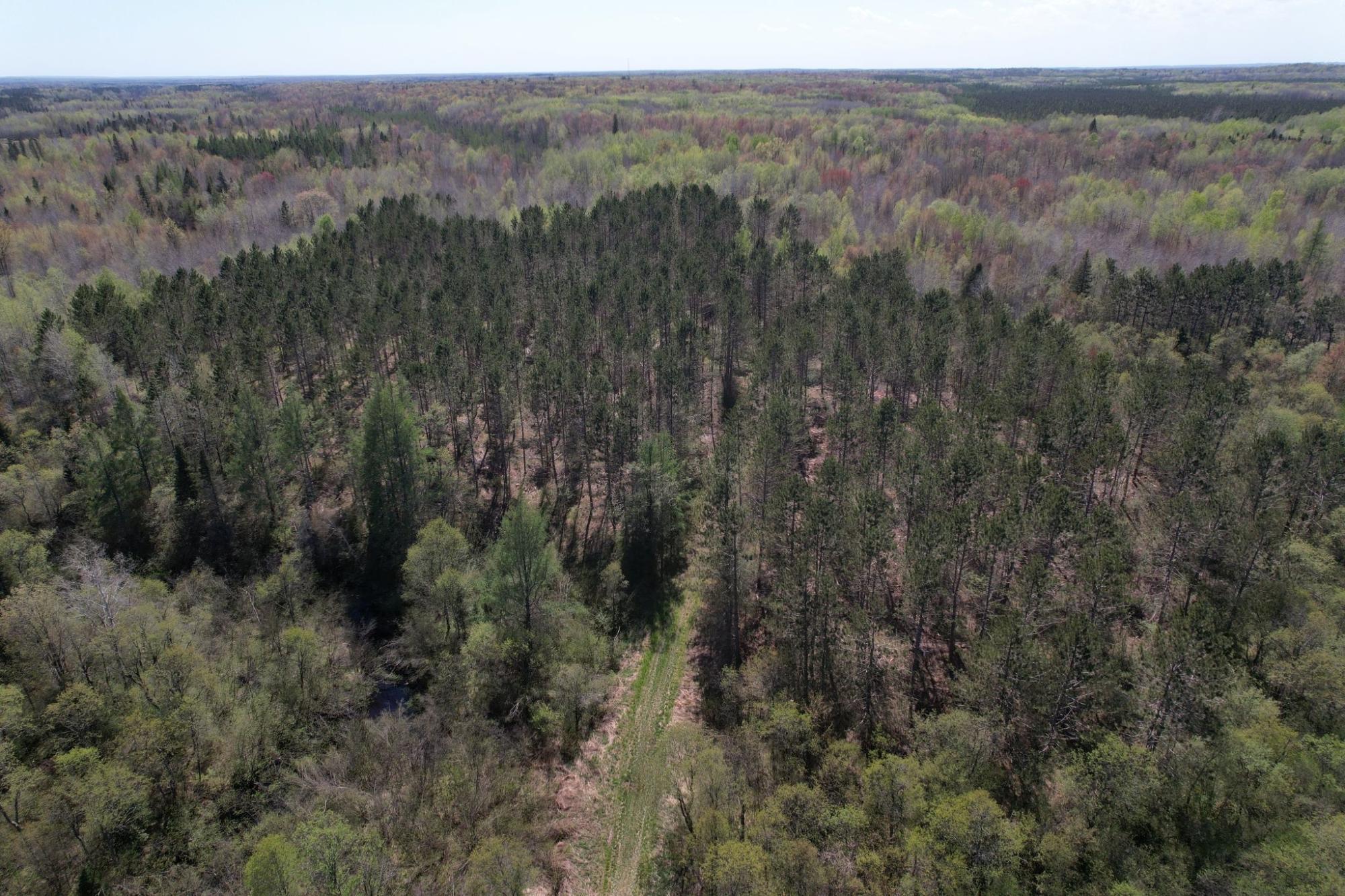 River Property Property Off Hay Creek Rd Photo 37