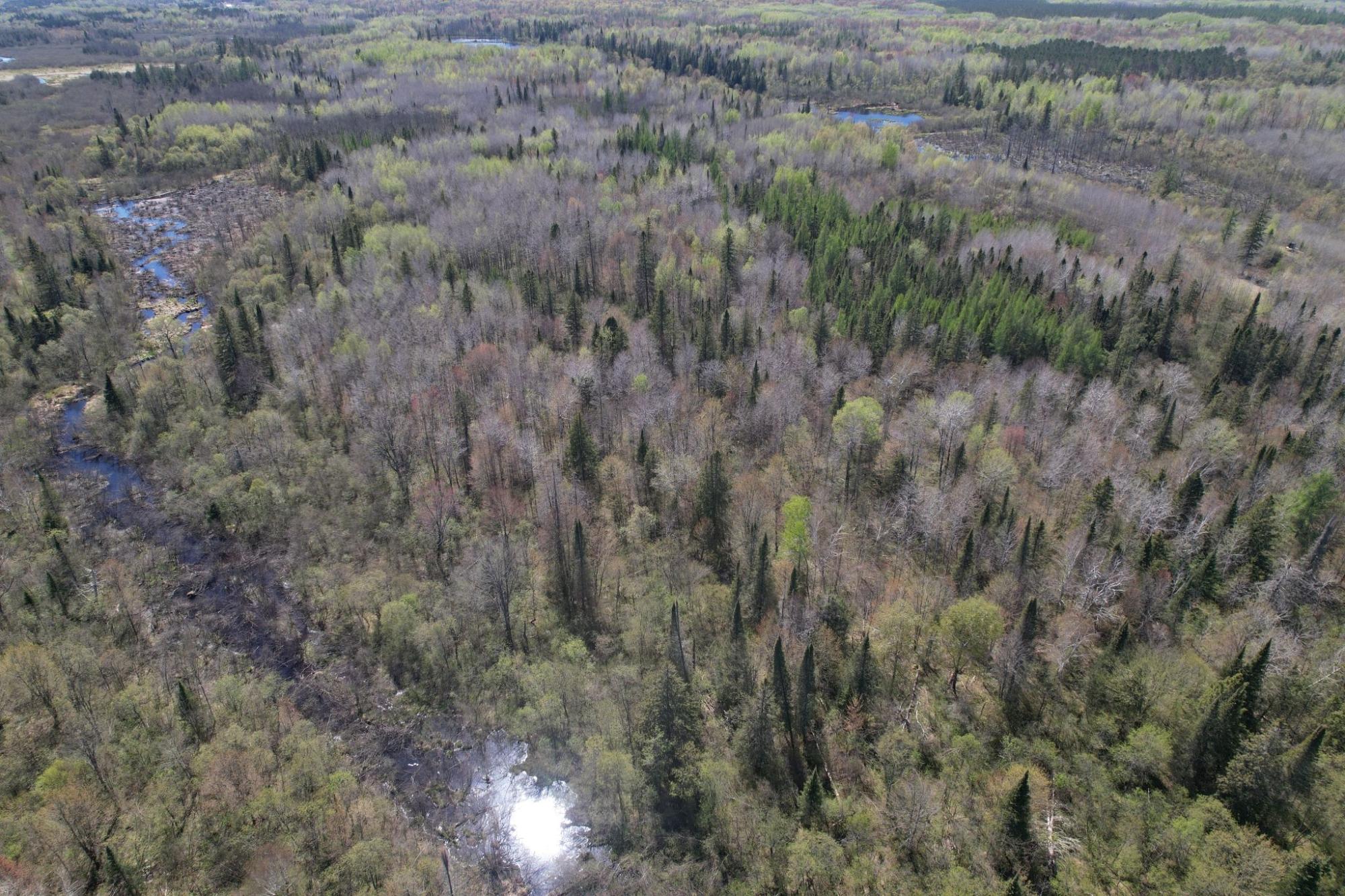 River Property Property Off Hay Creek Rd Photo 39