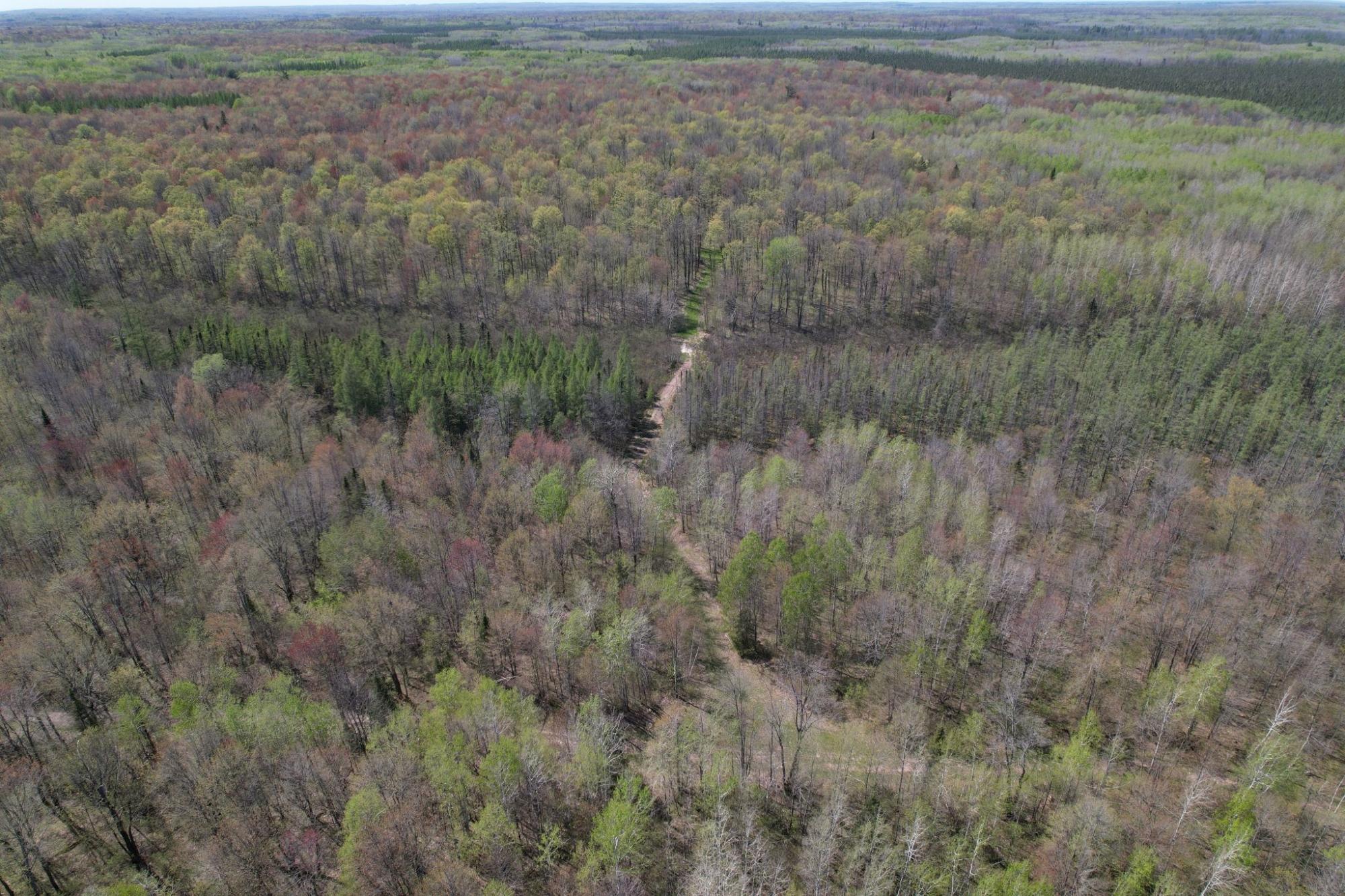River Property Property Off Hay Creek Rd Photo 6