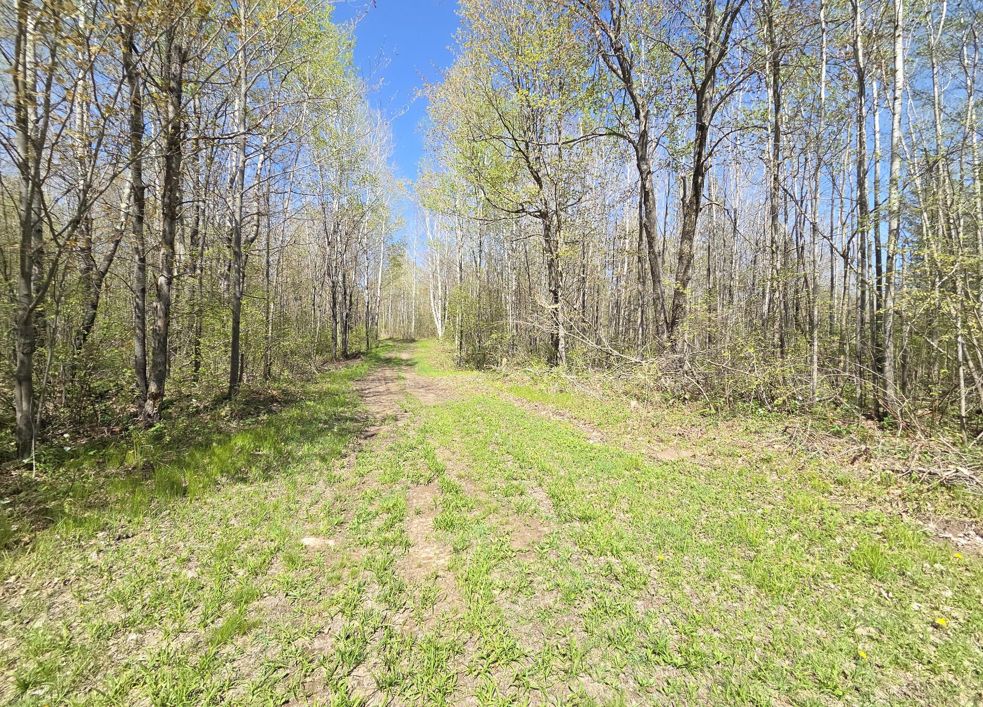 River Property Property Off Hay Creek Rd Photo 9