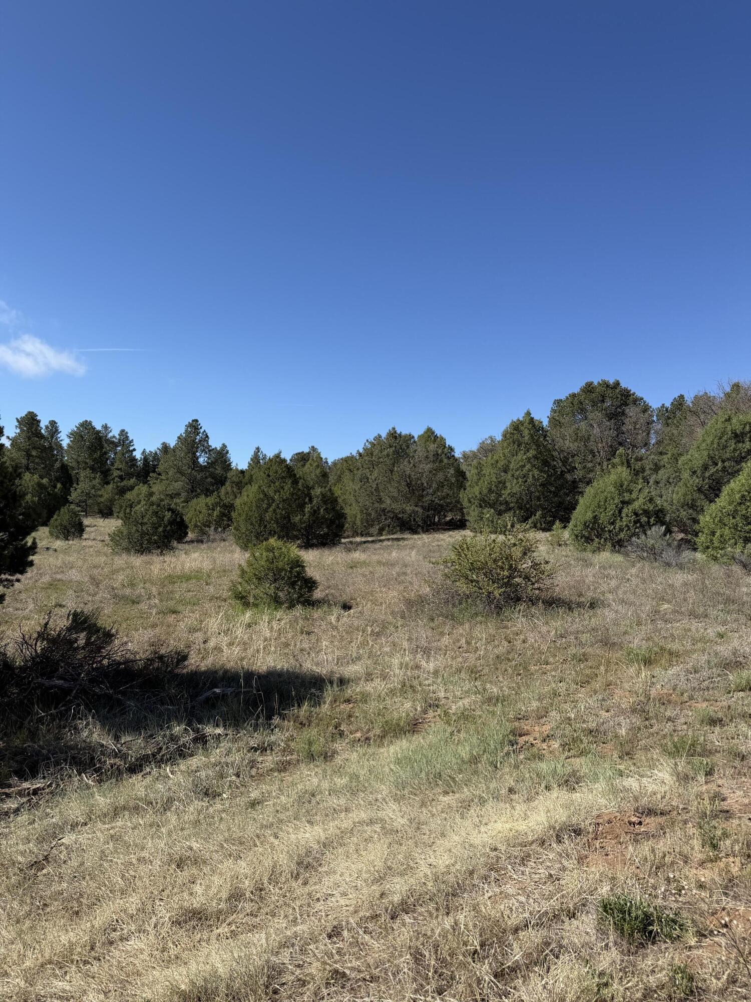Photo 4 of Sale Pending at 7 Moots Ct, Tijeras, NM 87059 | MLS# 1103911 | Listing updated on 2026-09-10