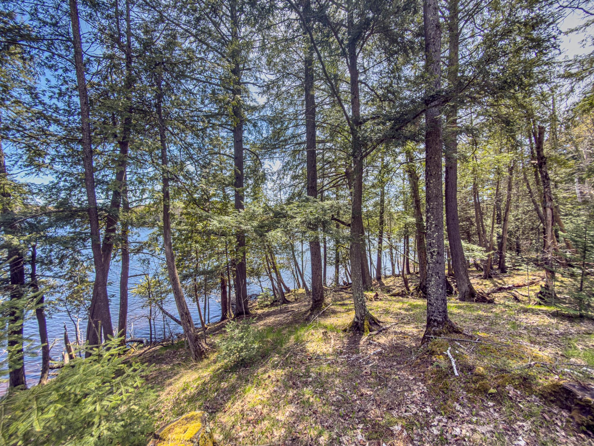 Armour Lake Property 7824 Crab Lake Rd Photo 45