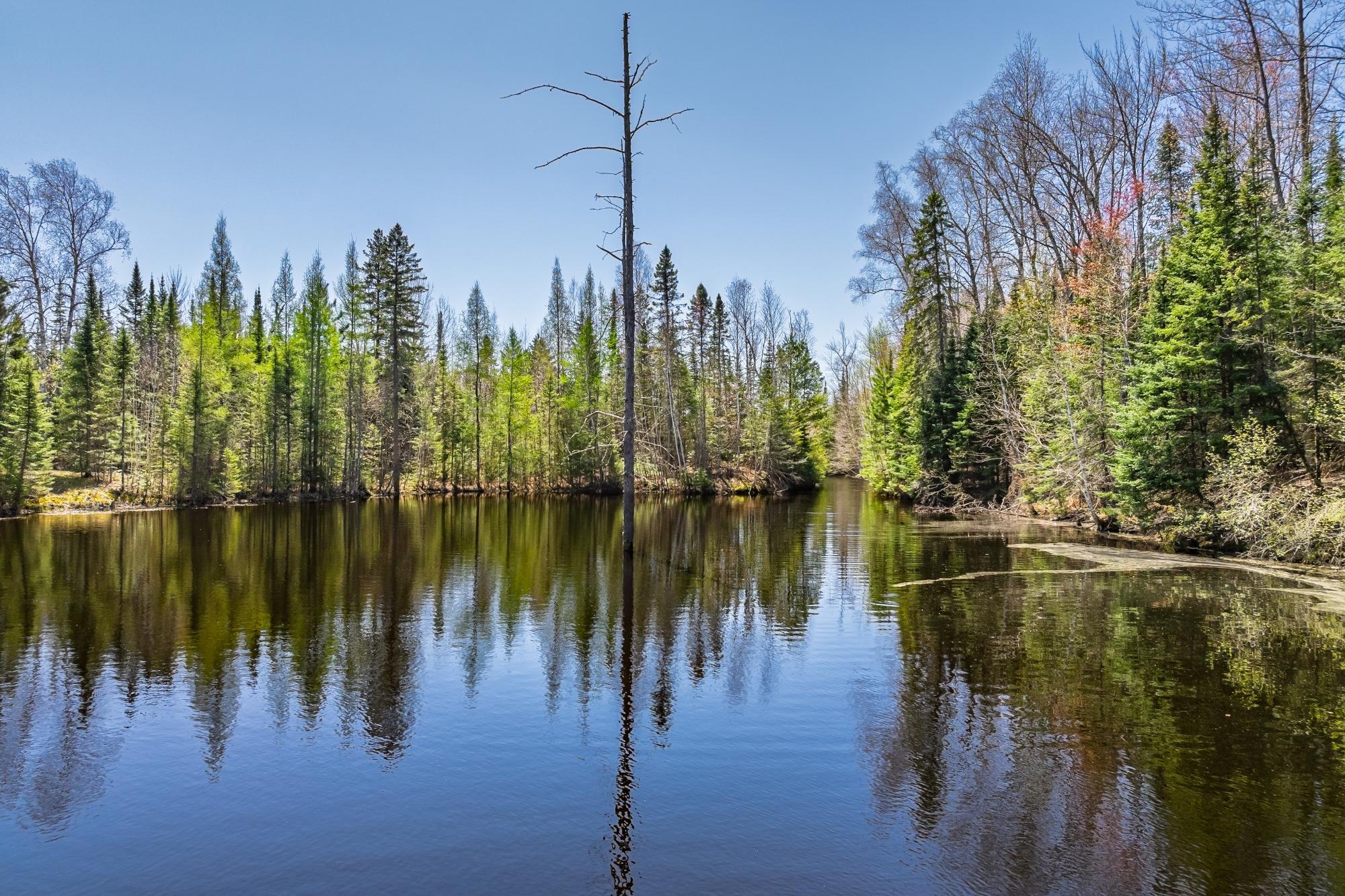 Byhre Lake Property N15522 Chickadee Ct Photo 56