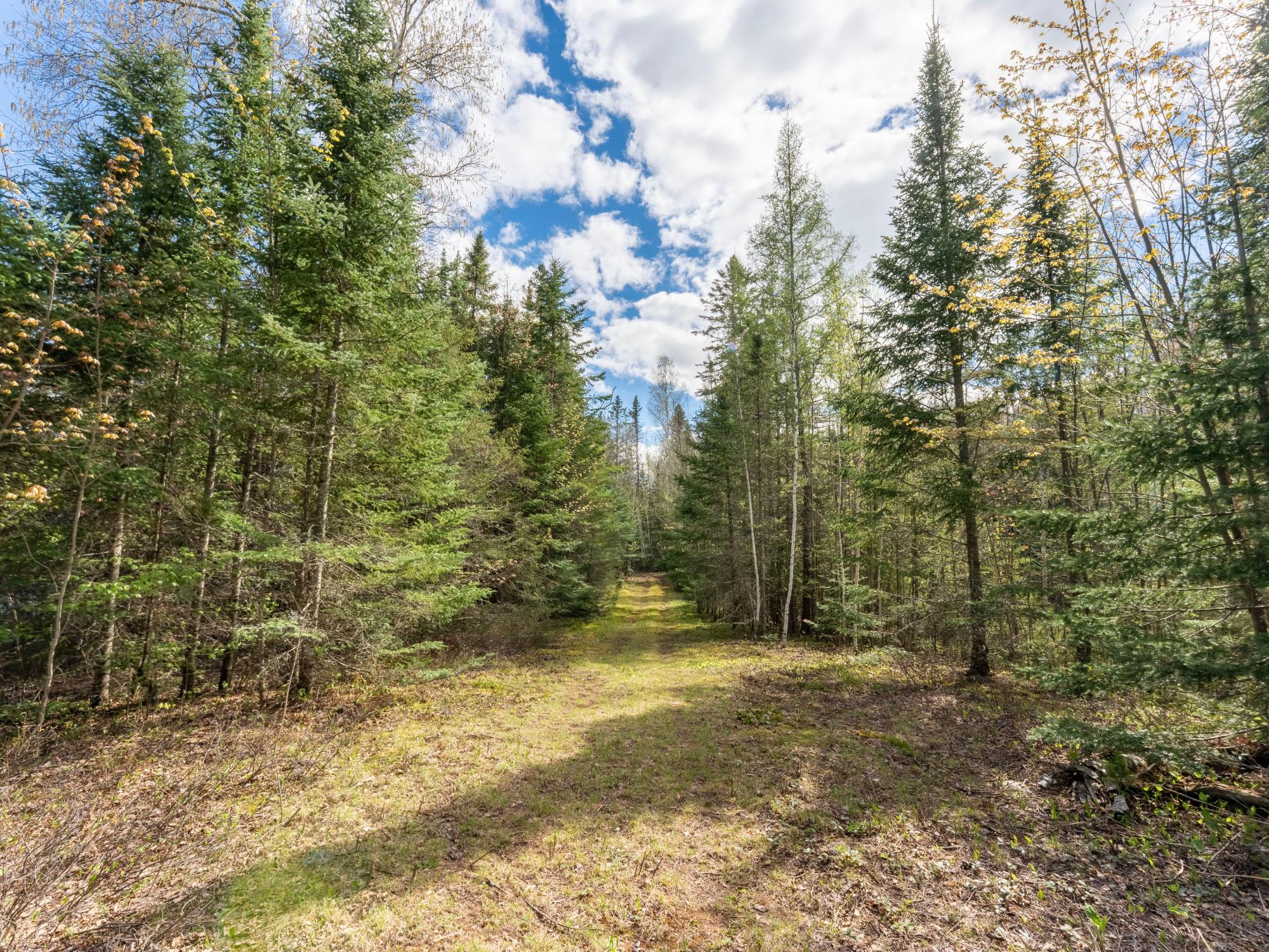 Byhre Lake Property N15522 Chickadee Ct Photo 68