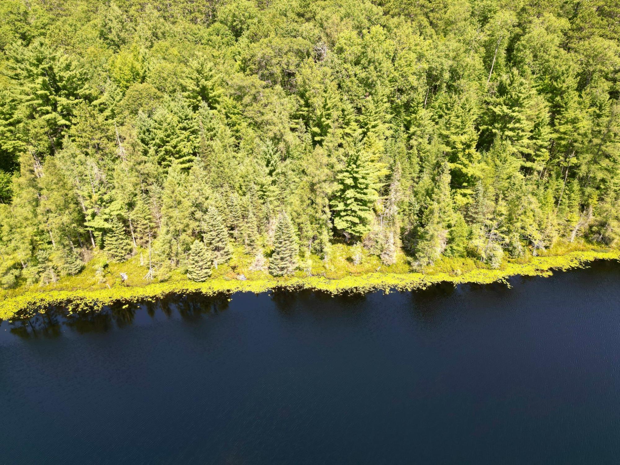 Undocumented Lake Property ON David Lake Ln Photo 17