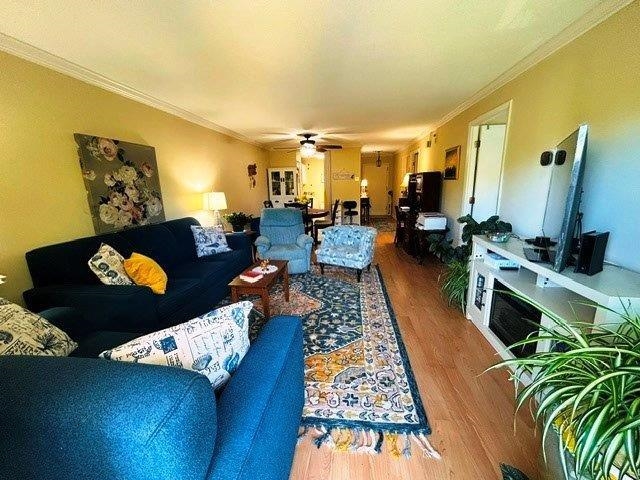 2613179 | Photo 2