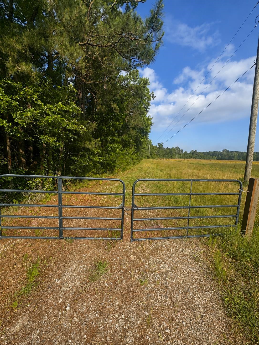 TBD Old Buck Creek Rd. Longs, SC 29568