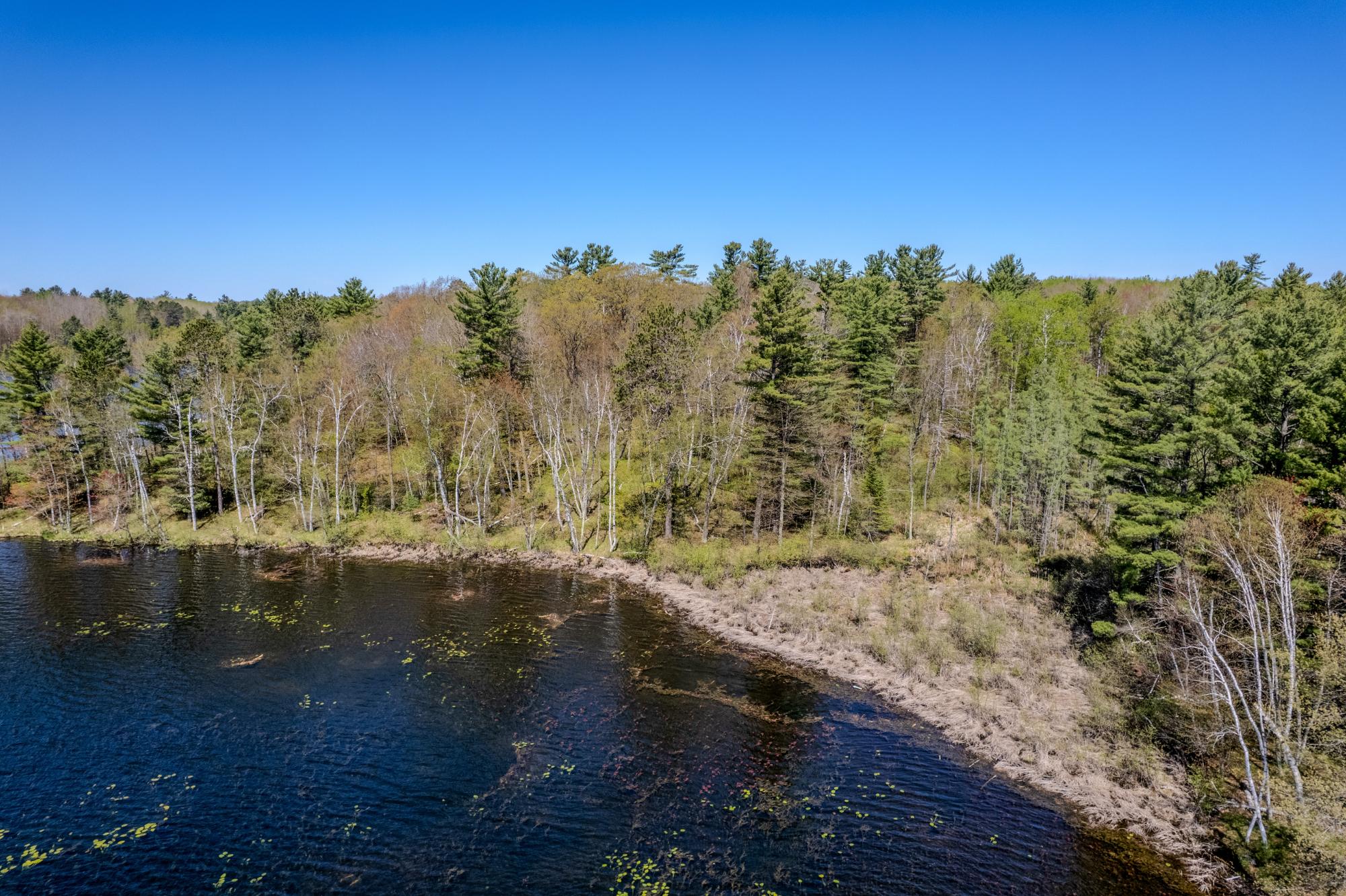 Little Bearskin Lake Property Lot 5 Little Bearskin Rd Photo 10