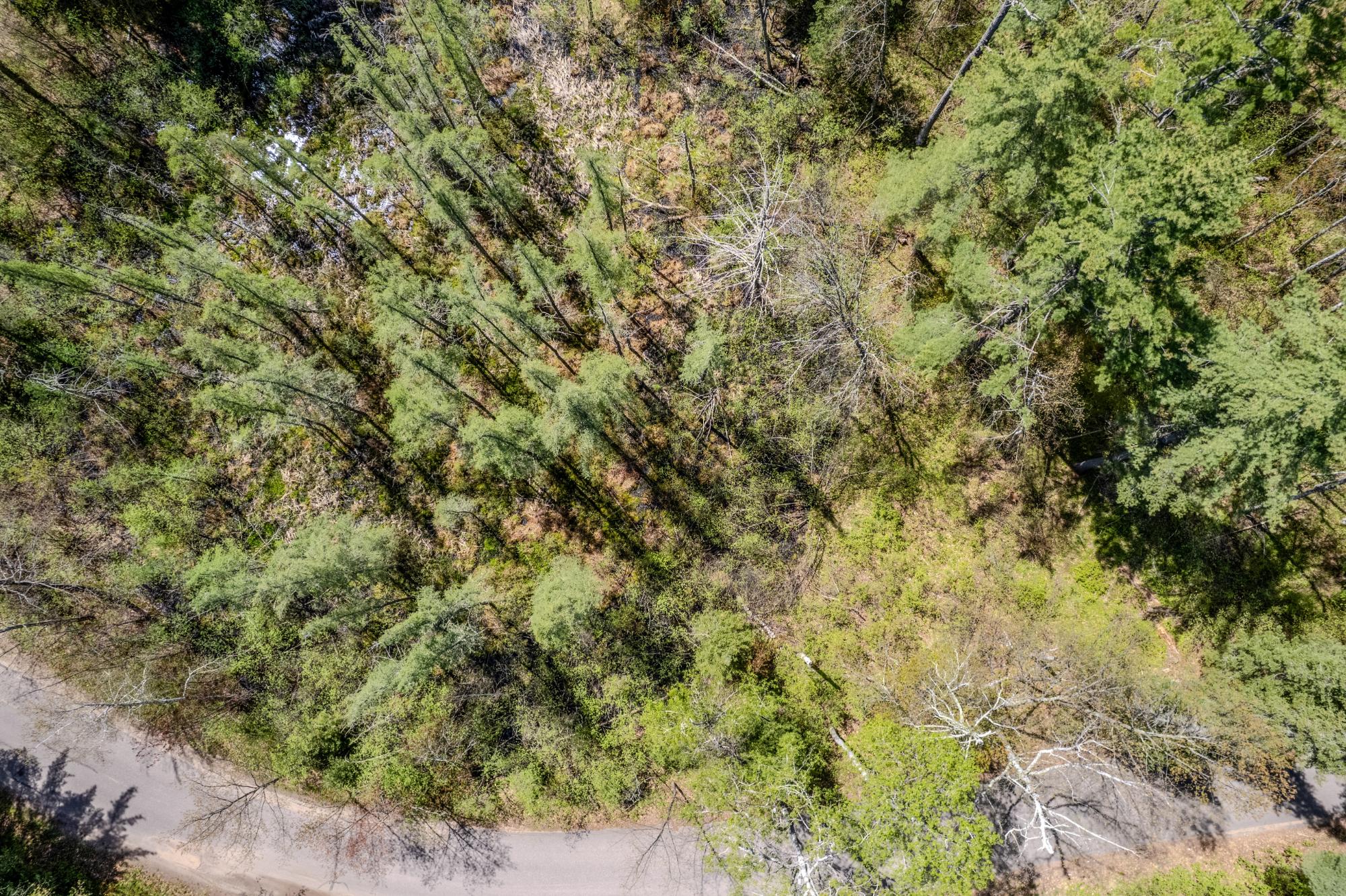 Little Bearskin Lake Property Lot 5 Little Bearskin Rd Photo 13