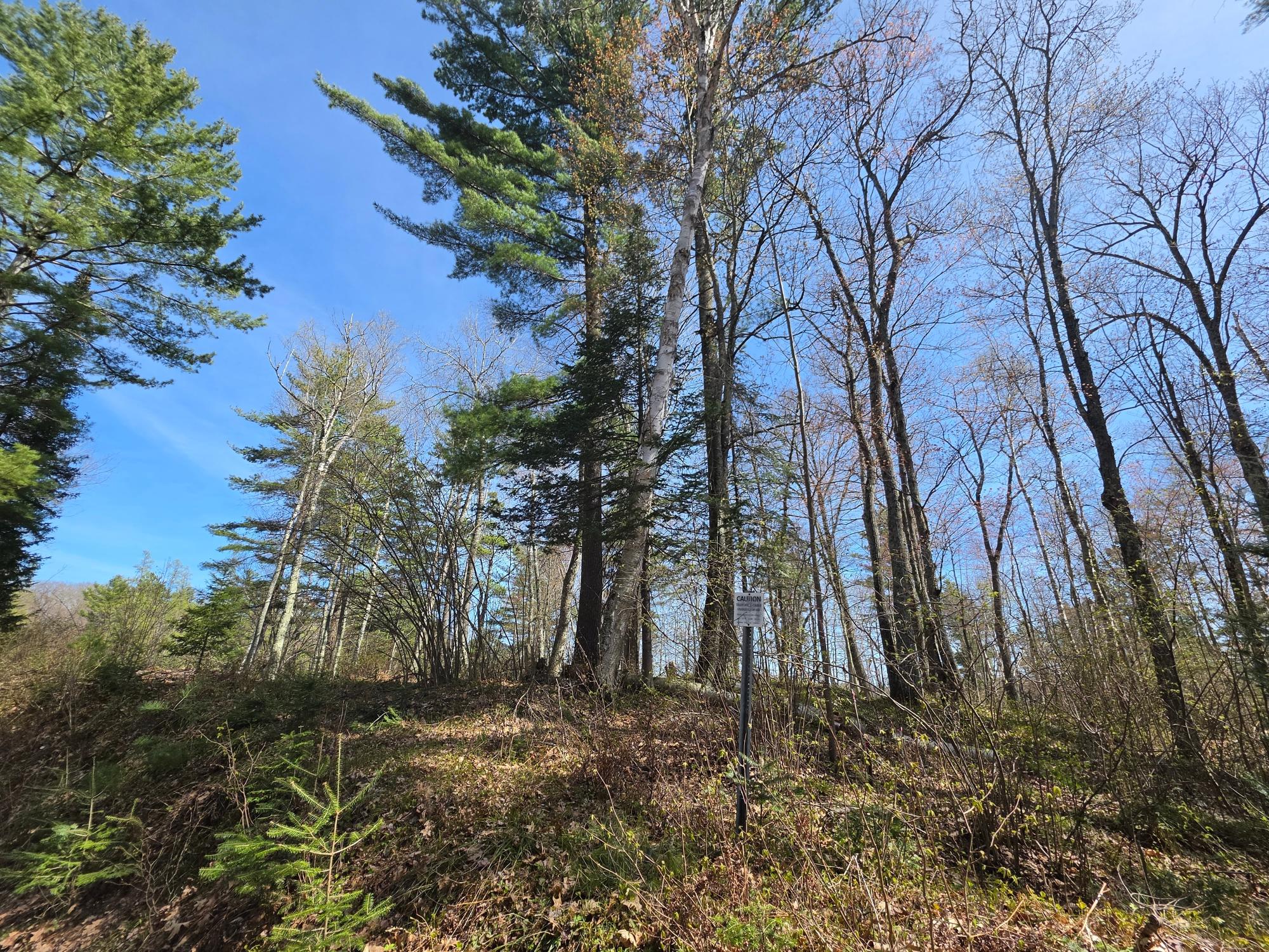 Little Bearskin Lake Property Lot 5 Little Bearskin Rd Photo 15
