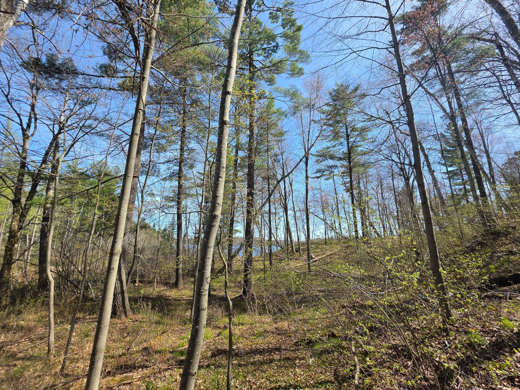 Little Bearskin Lake Property Lot 5 Little Bearskin Rd Photo 18
