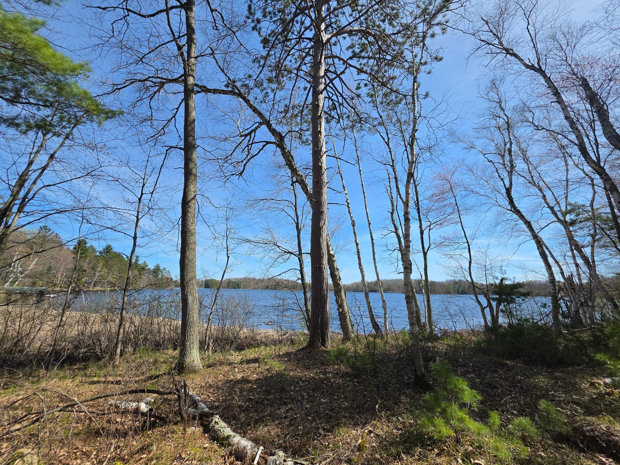 Little Bearskin Lake Property Lot 5 Little Bearskin Rd Photo 21