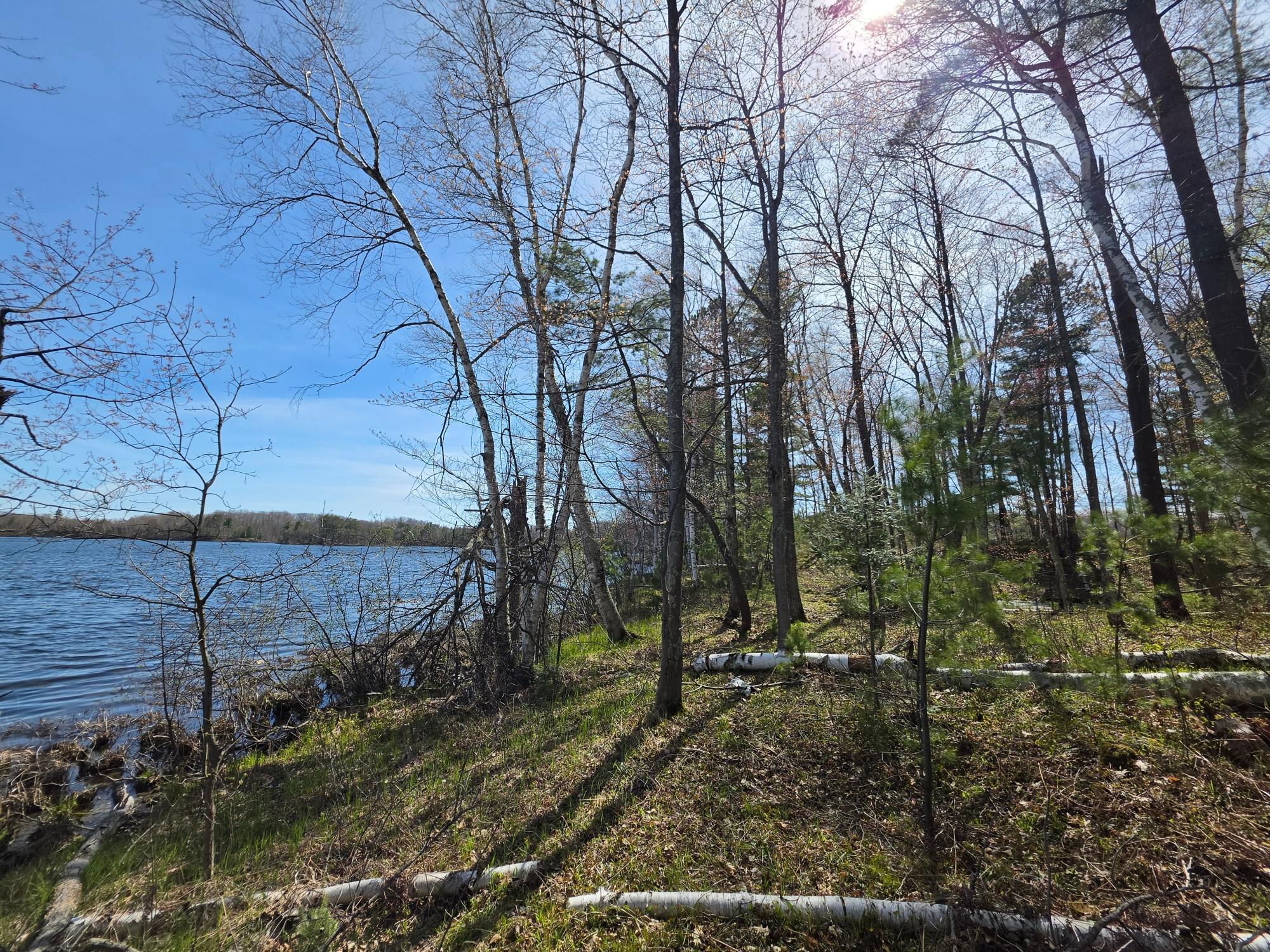 Little Bearskin Lake Property Lot 5 Little Bearskin Rd Photo 23