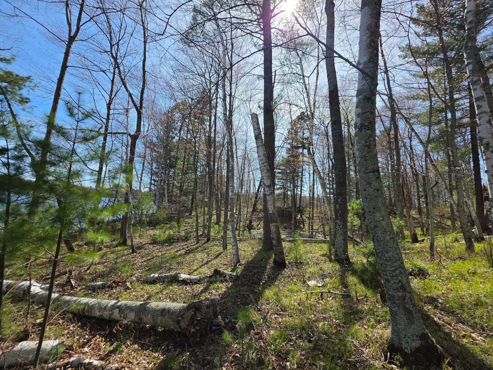 Little Bearskin Lake Property Lot 5 Little Bearskin Rd Photo 24