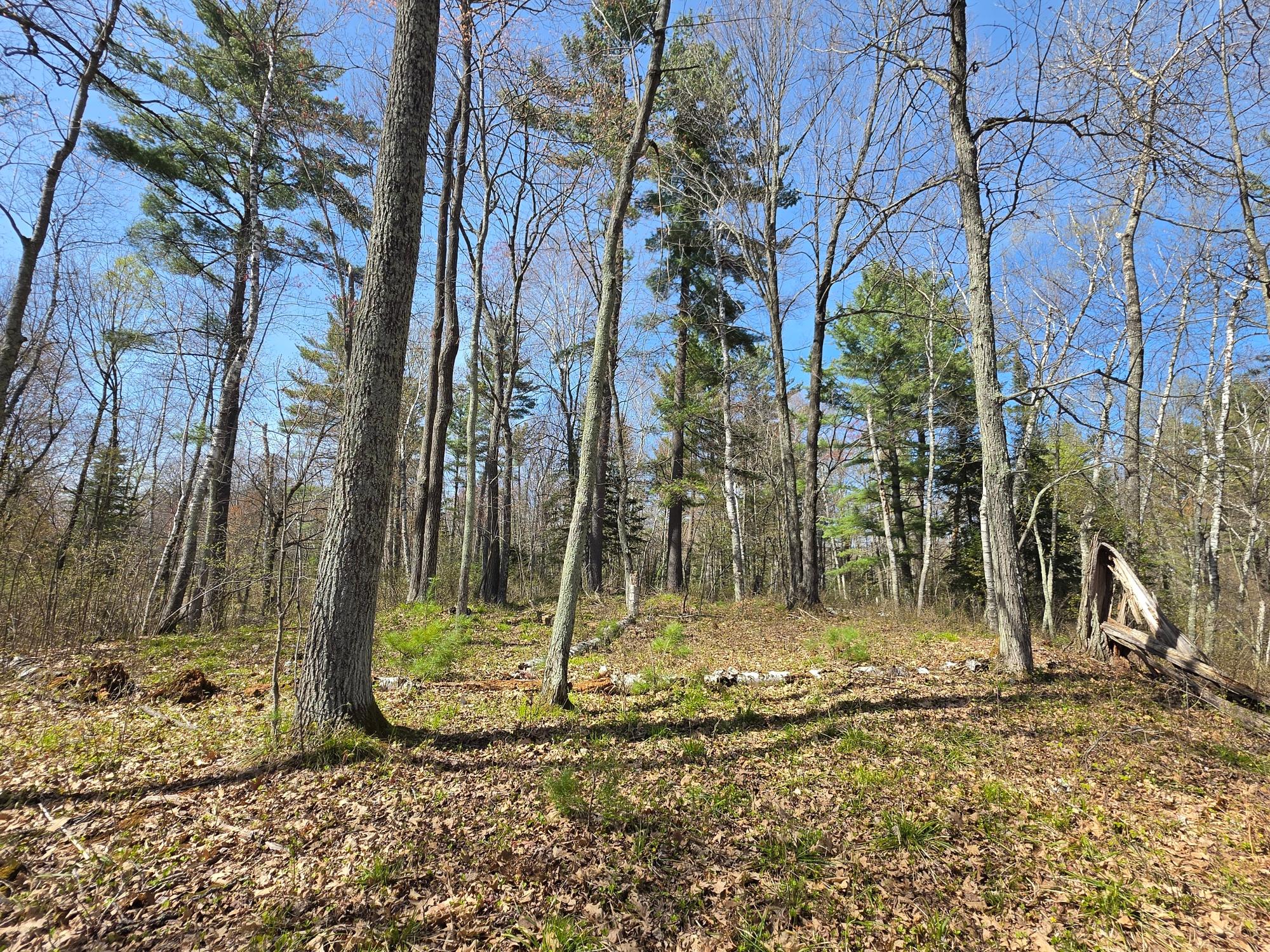 Little Bearskin Lake Property Lot 5 Little Bearskin Rd Photo 27