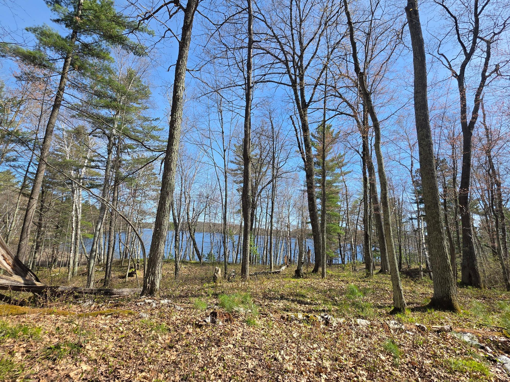 Little Bearskin Lake Property Lot 5 Little Bearskin Rd Photo 28