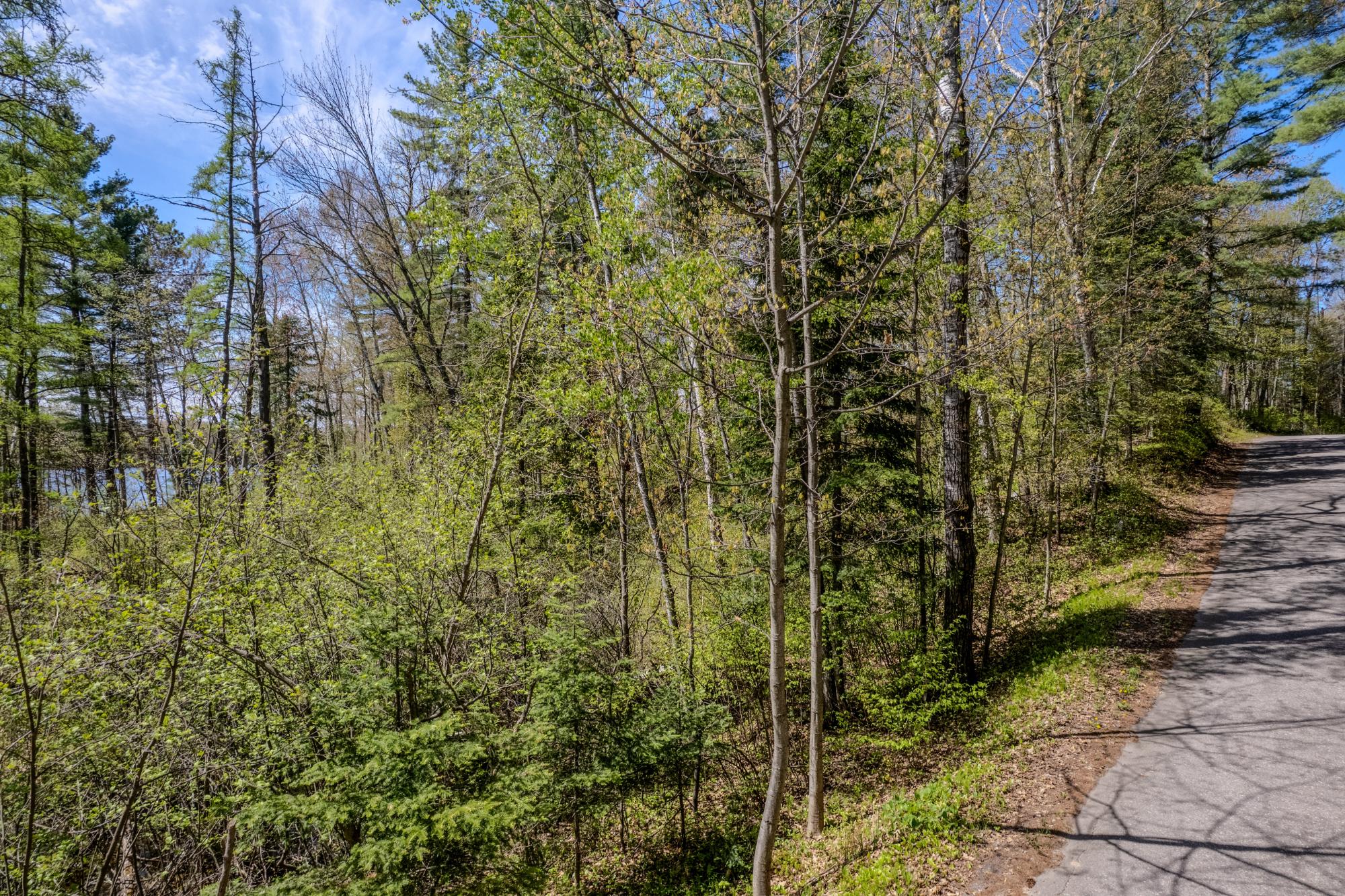 Little Bearskin Lake Property Lot 5 Little Bearskin Rd Photo 3