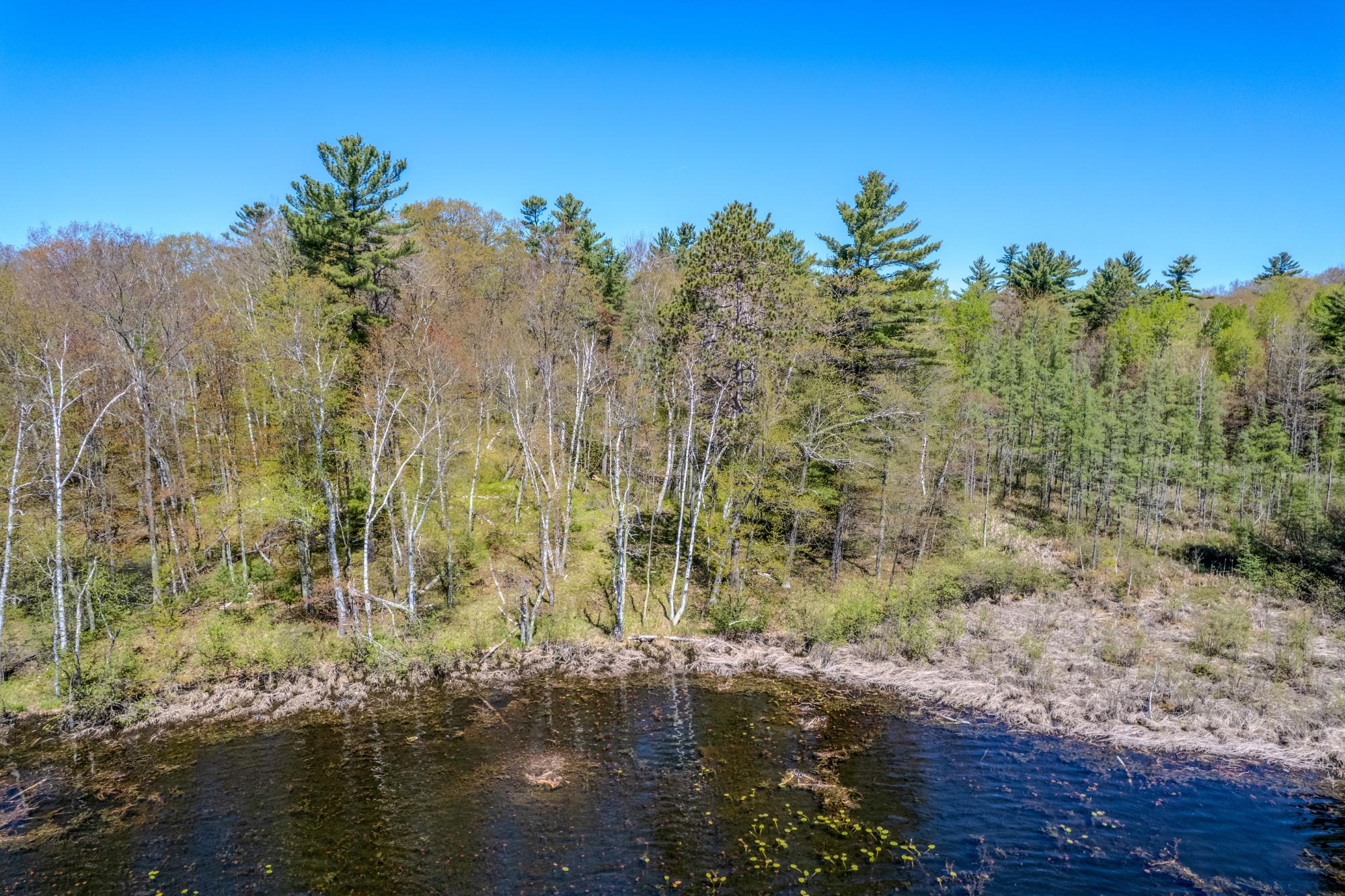 Little Bearskin Lake Property Lot 2 Little Bearskin Rd Photo 11