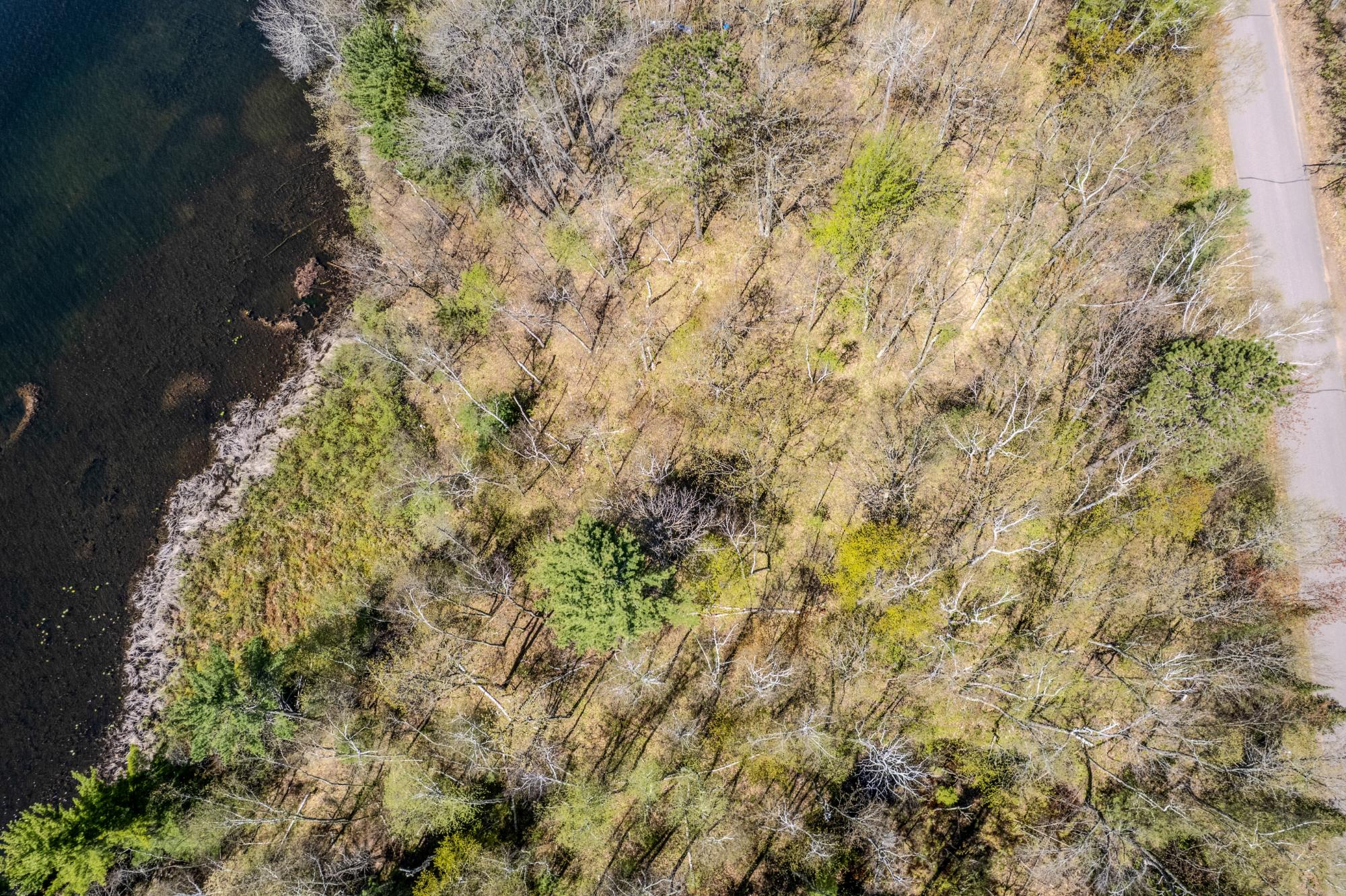Little Bearskin Lake Property Lot 2 Little Bearskin Rd Photo 13