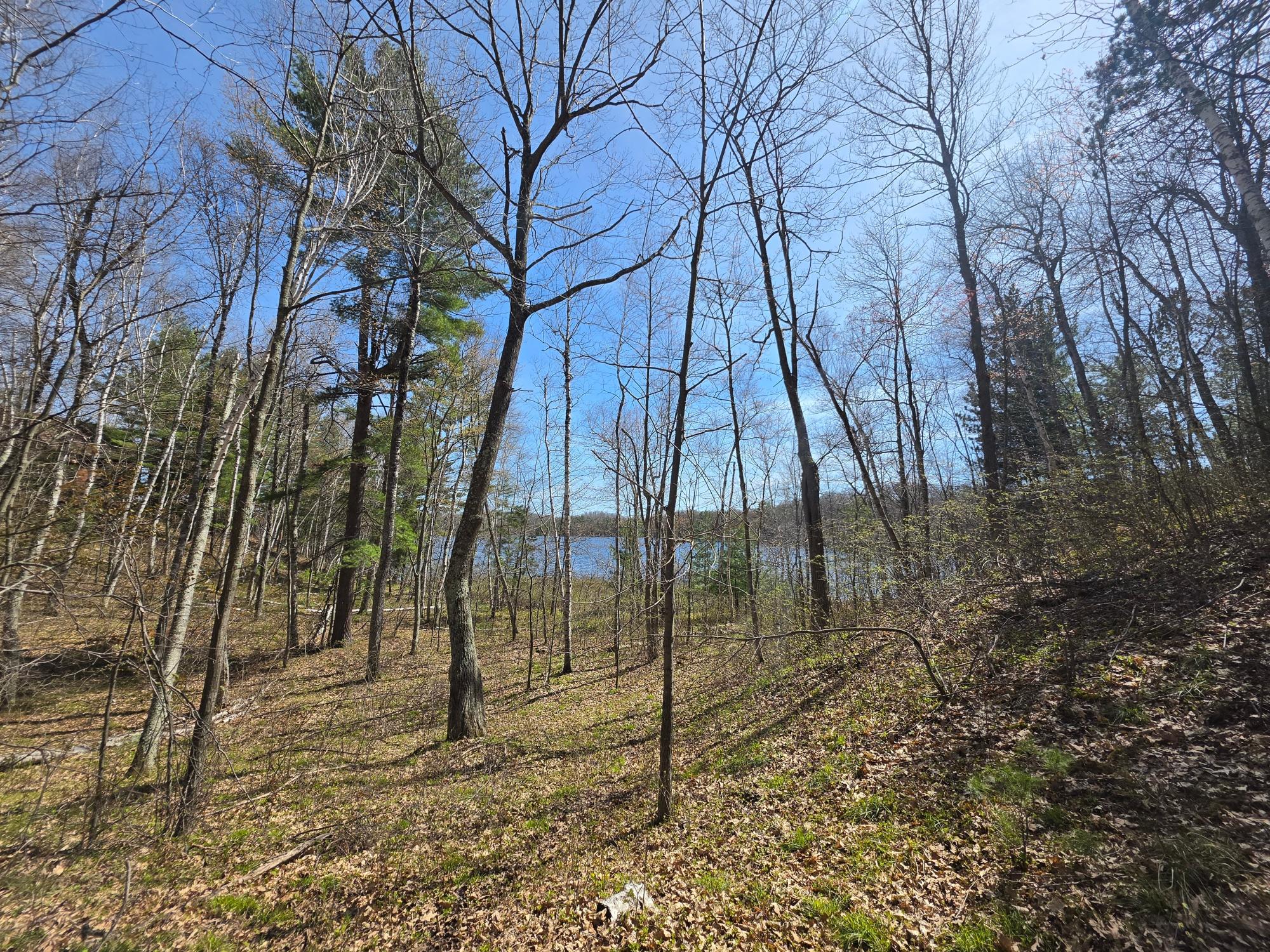 Little Bearskin Lake Property Lot 2 Little Bearskin Rd Photo 15